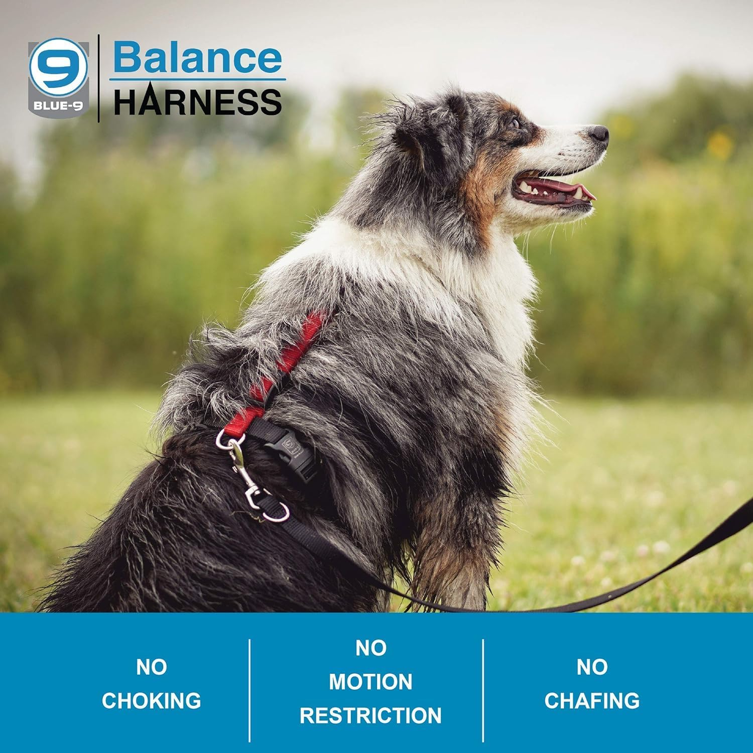 Blue-9 Balance Harness Buckle Neck, Medium/Large, Sky Blue image number 3