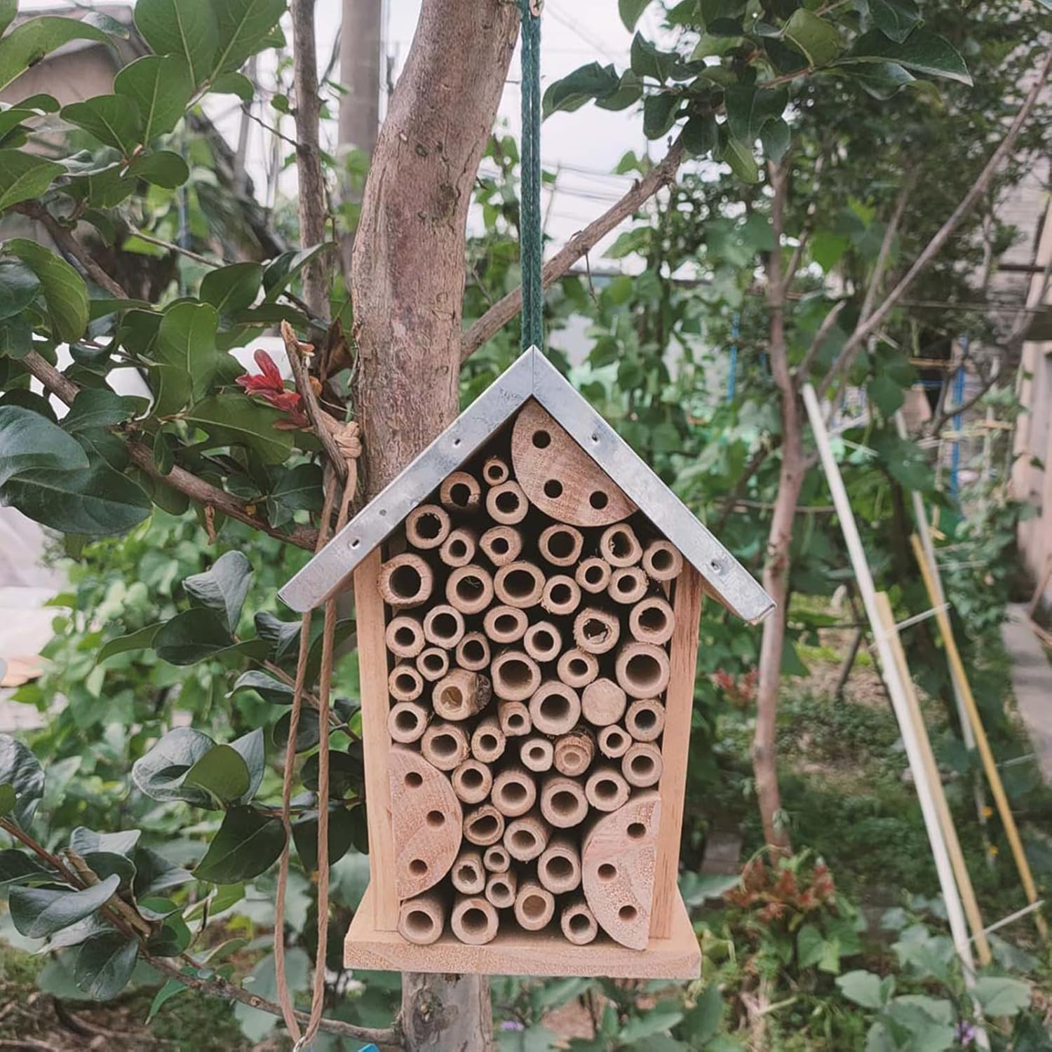 Wooden Ladybug Shelter - Nesting Box, Carpenter Bee Haven, Garden Bee Nest, Native Bee House, Decorative Habitat Shelter | Natural Pollinator Shelter Nesting Box for Ladybugs Lacewings, Outdoor Garden image number 1