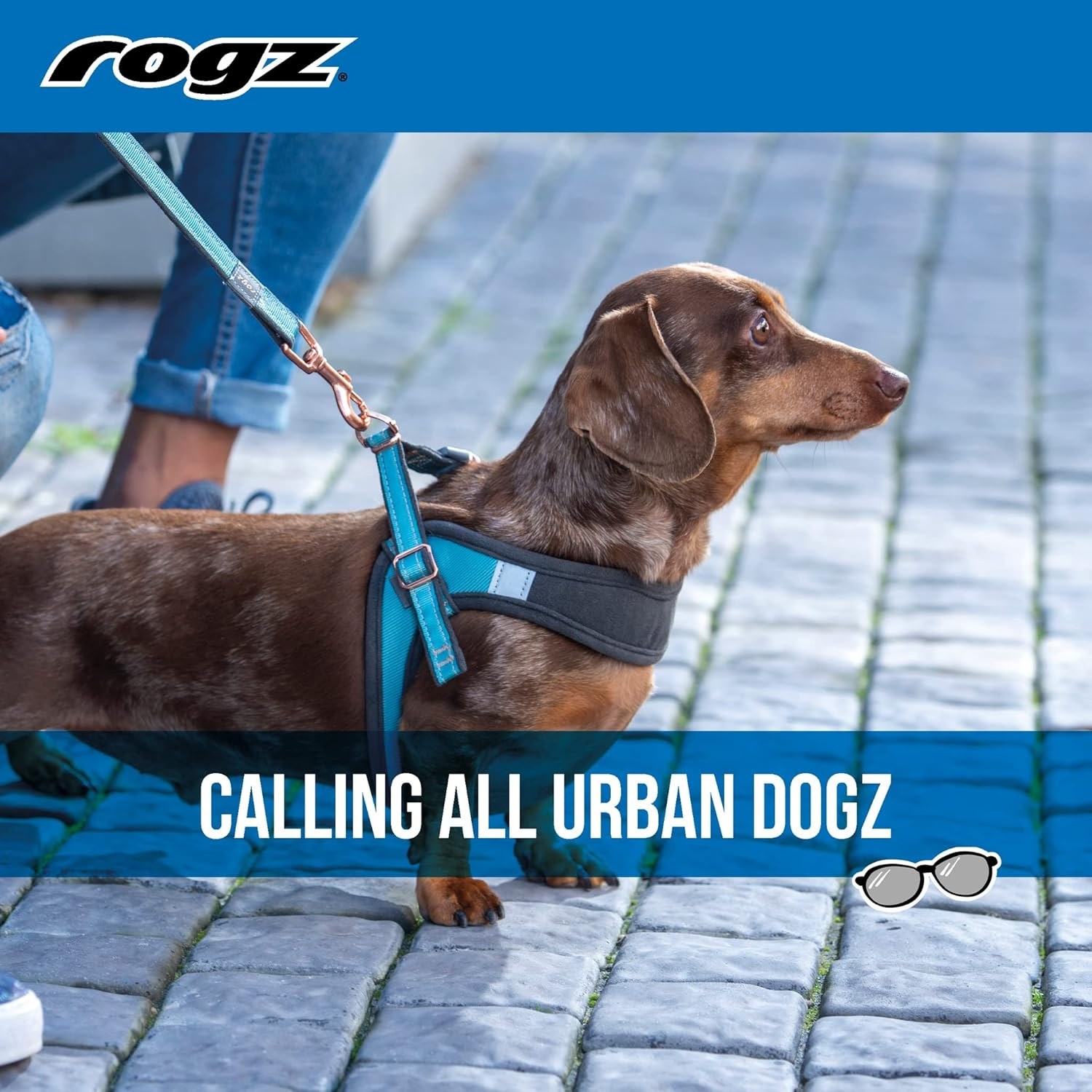 Rogz Classic Urban Adjustable Quick Fit Boomerang Dog Harness Turquoise Medium image number 4