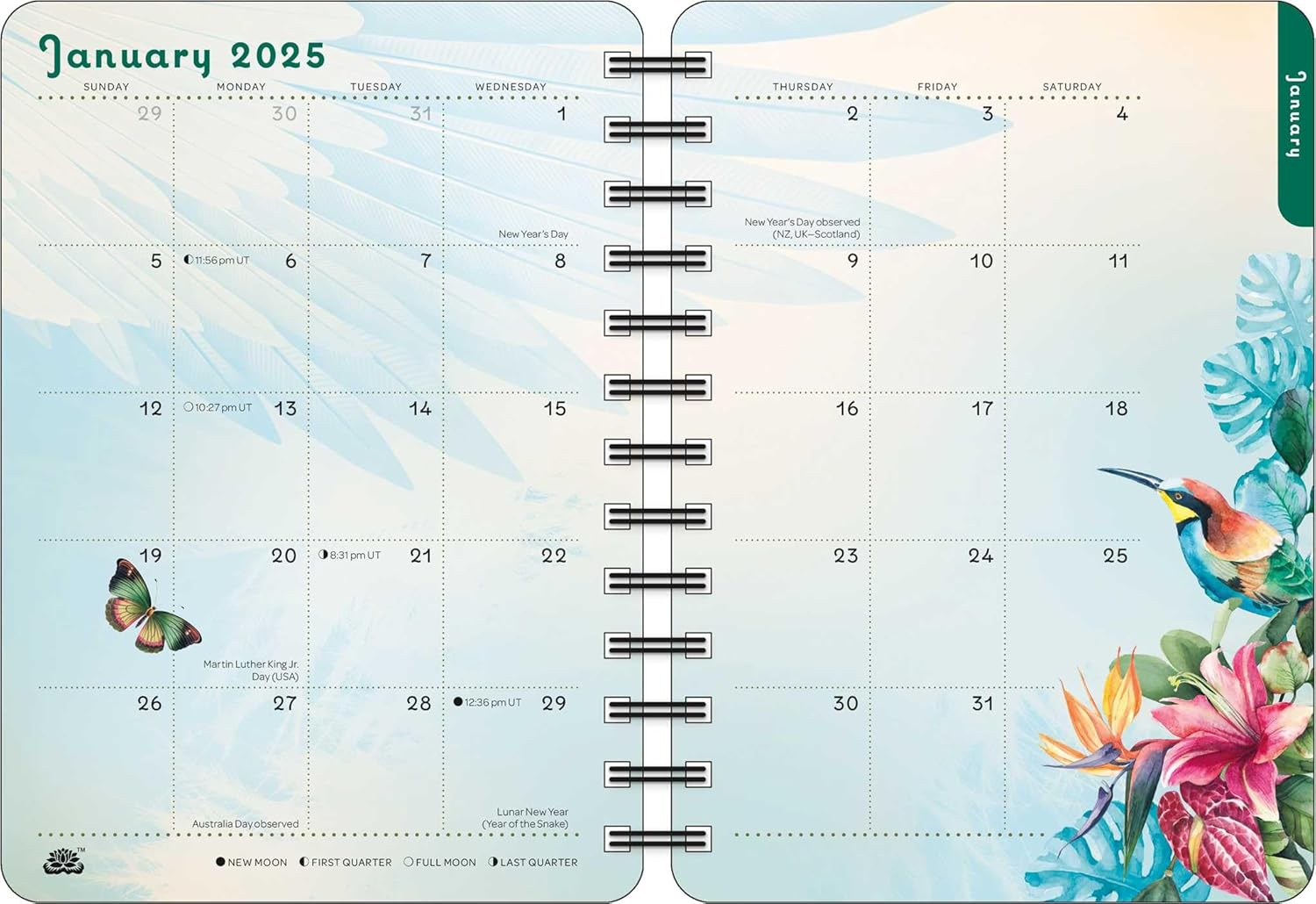 For the Love of Frida 2025 Weekly Planner Calendar: Art and Words Inspired by Frida Kahlo image number 2