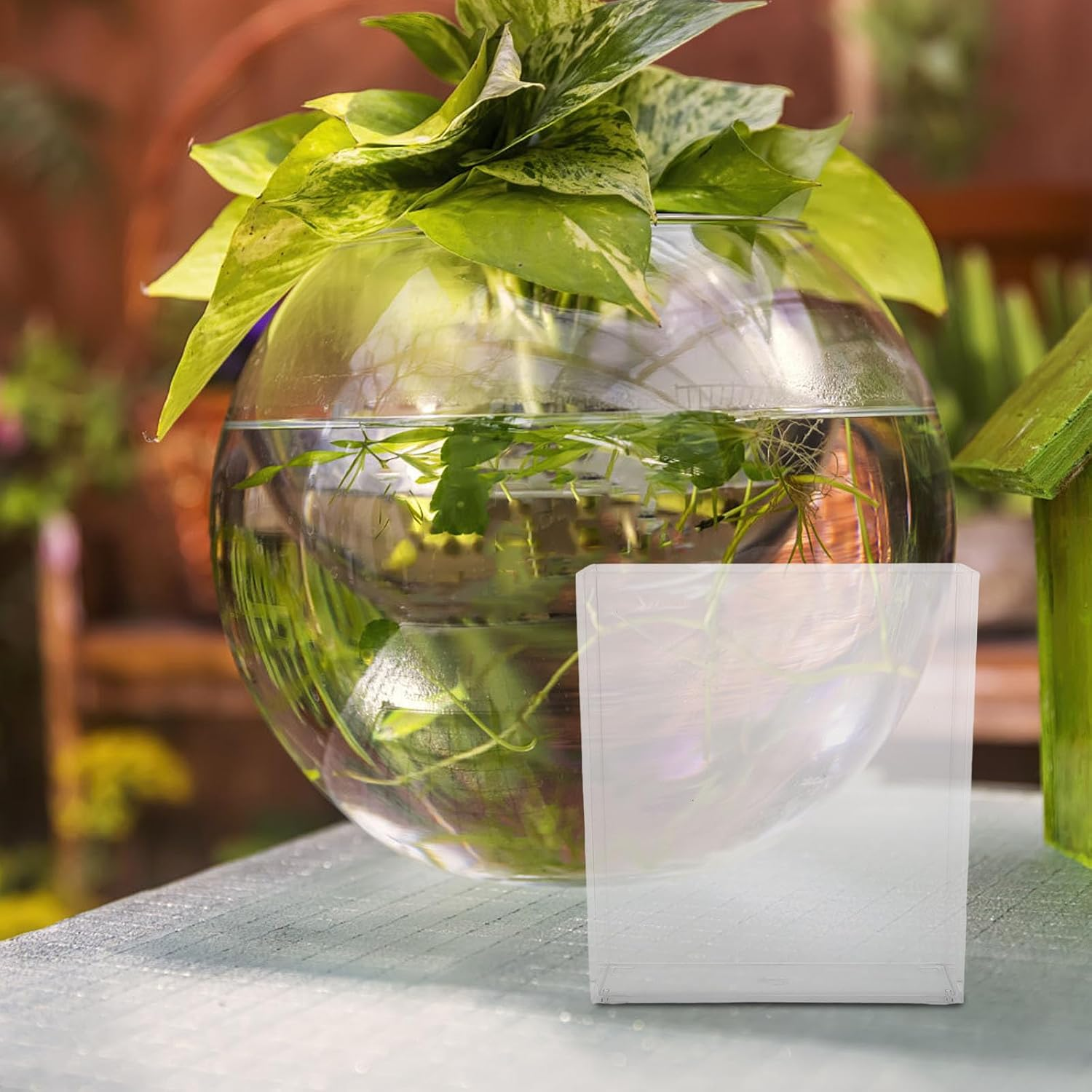 Homoyoyo Portable Clear Fish Observation Container for Small Fish Tanks and Betta Bowls for Home Use Lightweight and Easy to Carry for Safe Aquatic Pet Viewing image number 1