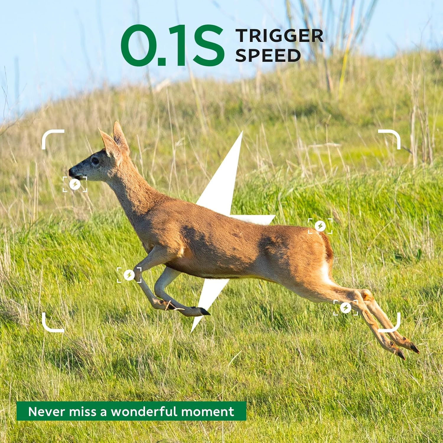 Trail Camera Wifi, 32MP 1080P Game Camera with Low Glow Night Vision, 0.1S Trigger Speed 130&deg; Wide-Angle Motion Activated IP66 Waterproof image number 3