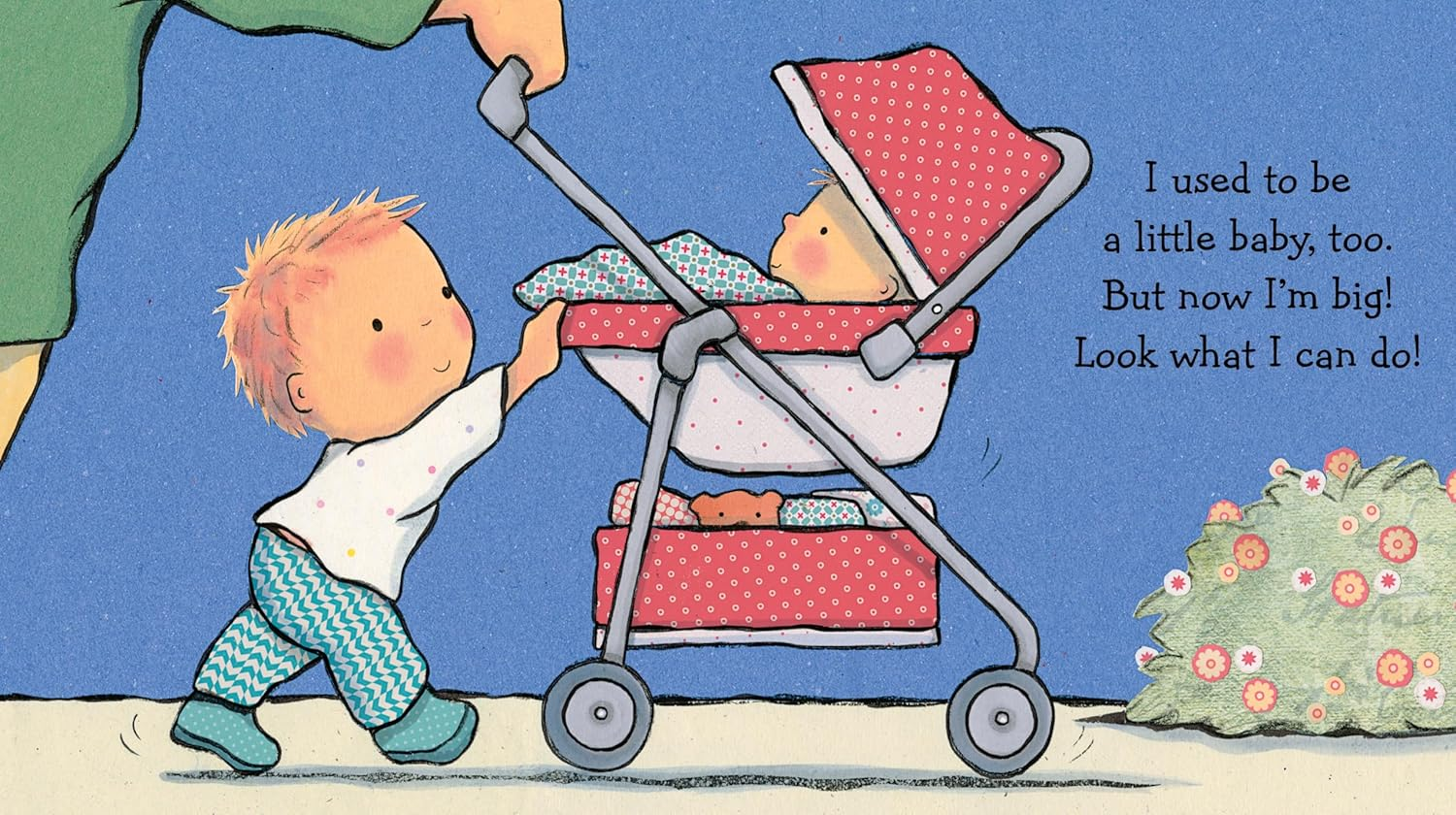 I Am a Big Brother image number 3