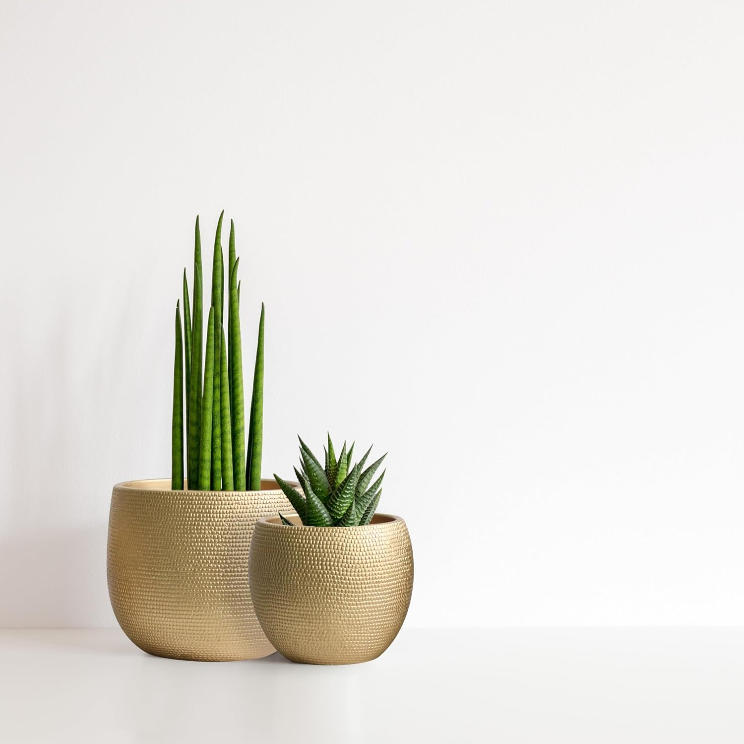 Olly & Rose Barcelona Ceramic Plant Pot Set 2 - Gold Flower Pots - Indoor & Outdoor Planters Home and Garden Decor (Gold) image number 1