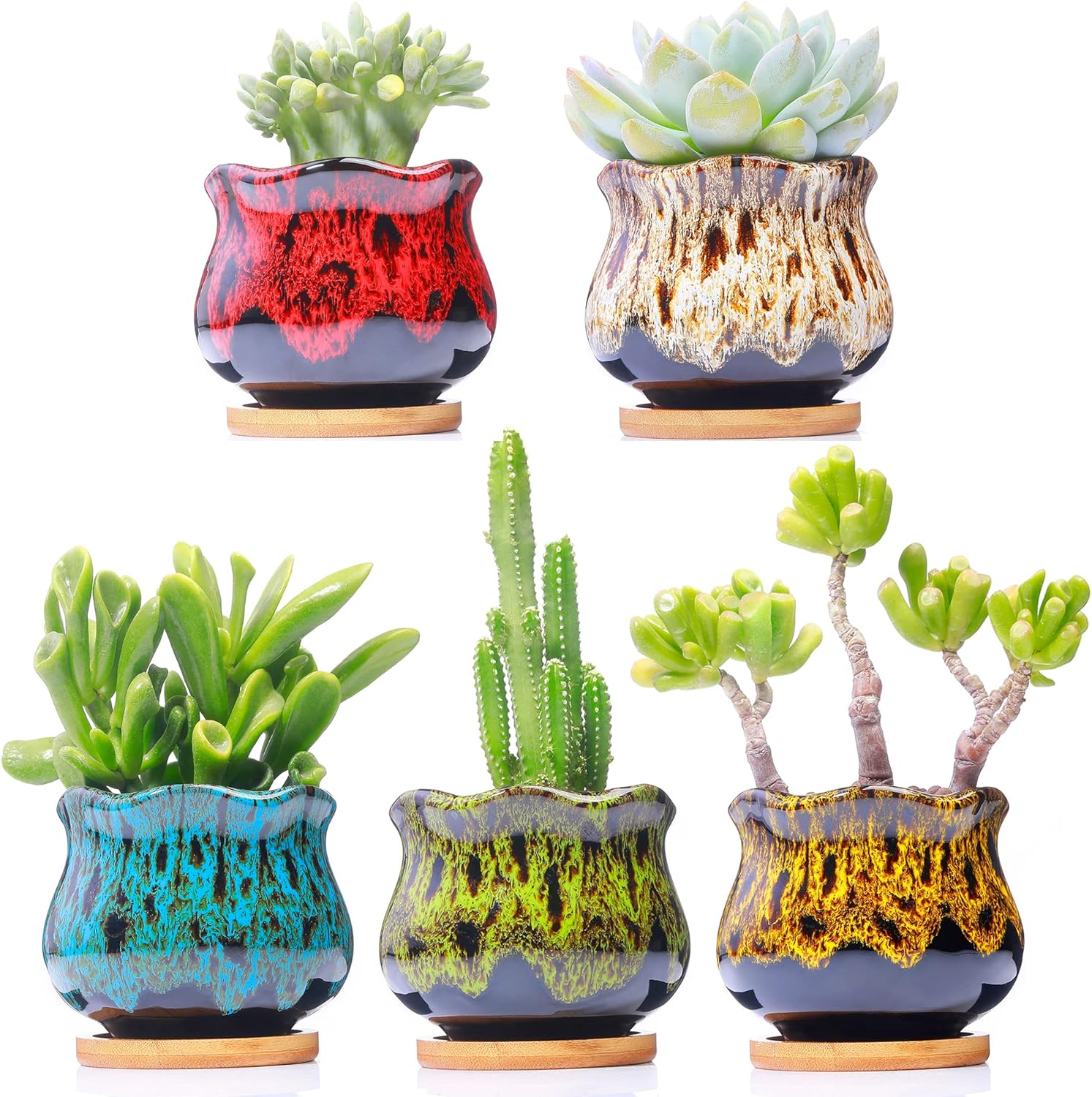 Cute Ceramic Succulent Garden Pots, Planter with Drainage and Attached Saucer, Set of 5 -Plants Not Included (Fambe) image number 2
