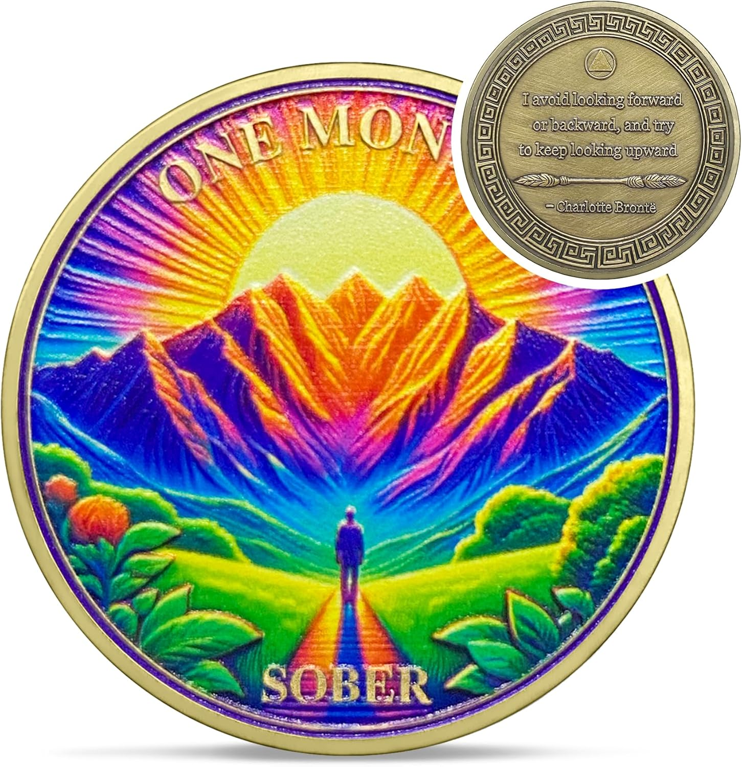 Original One Month Sobriety Coin - Recovery 1 Month View AA Coins - Na Ha AA Chips and Medallions - 1-10 Prime Sobriety Chip Alcoholics Anonymous Gifts for Men Women