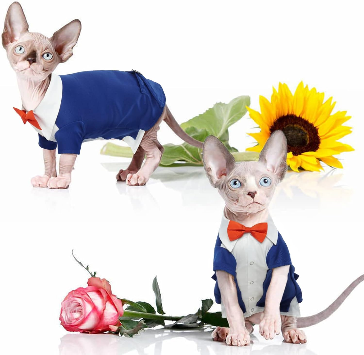 Hjyokuso Cat Tuxedo, Formal Wear Cat Costume, Cat Wedding Outfit, Blue, Polyester and Cotton, Xx-Large, Suitable for Small, Medium, Large Breeds image number 2