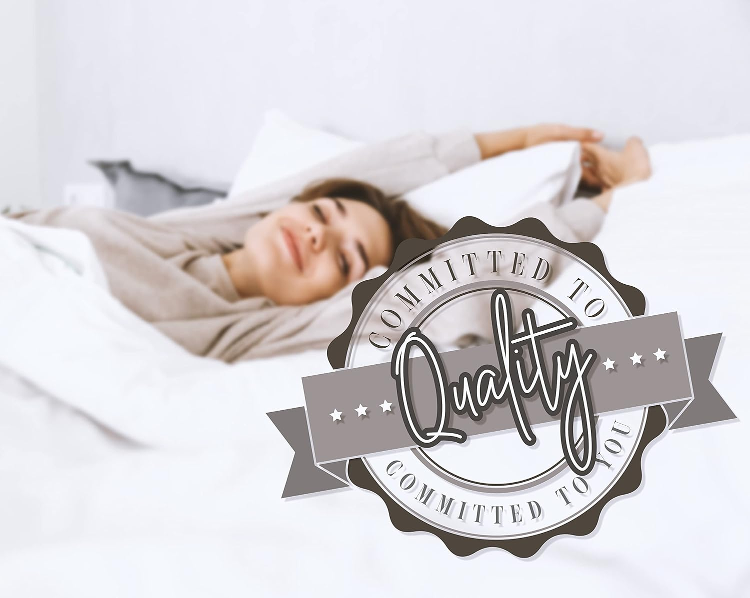 Super Soft Goose down 3Pc Reversible Alternative Comforter, Queen, Red/Gray