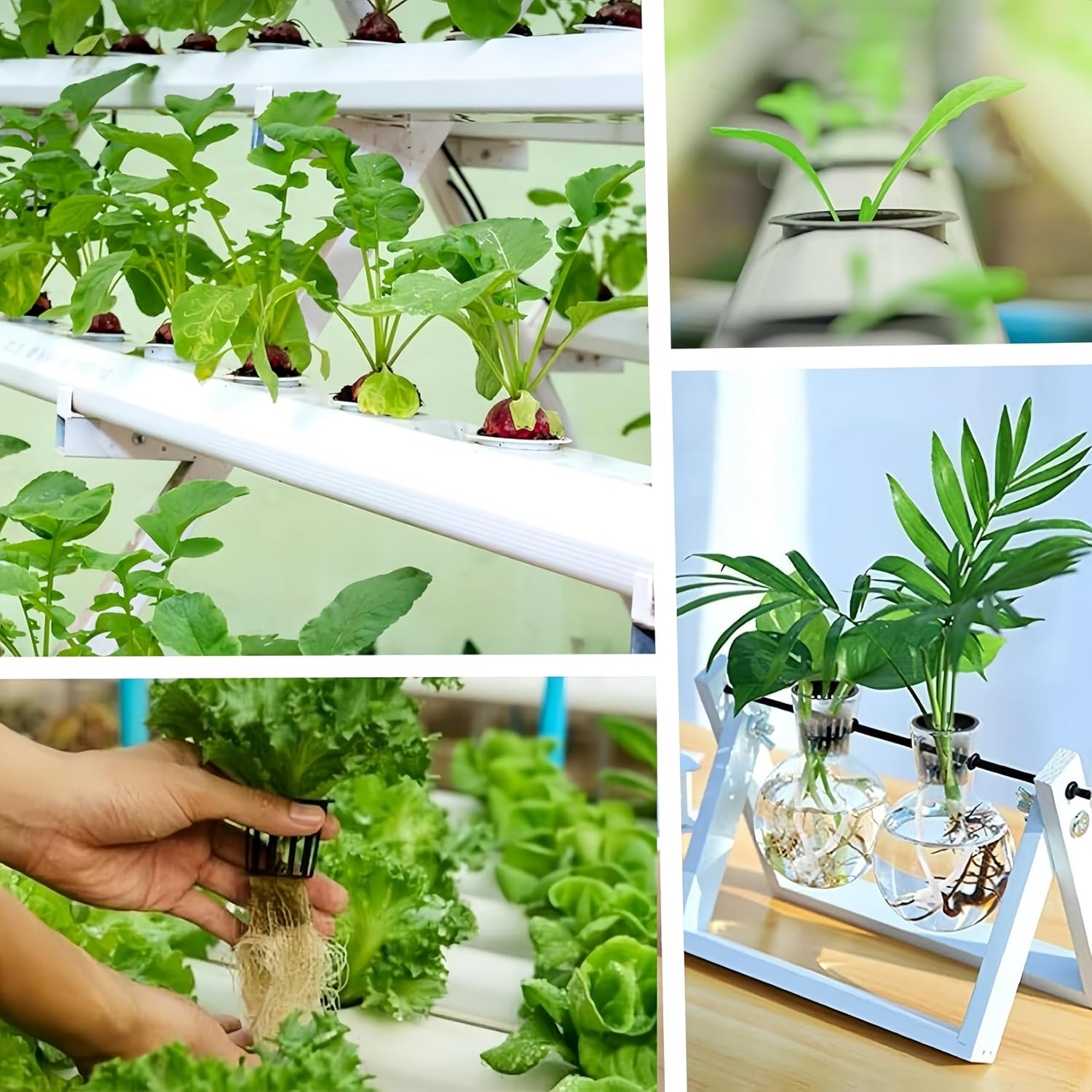 50 PCS Garden Slotted Mesh Net Cups,5 Cm Hydroponics Plant Grow Net Cup,Round Heavy Duty Net Cups Pots, Wide Lip Bucket Basket Pot Cups for Hydroponics Aquaponics (Black) image number 1