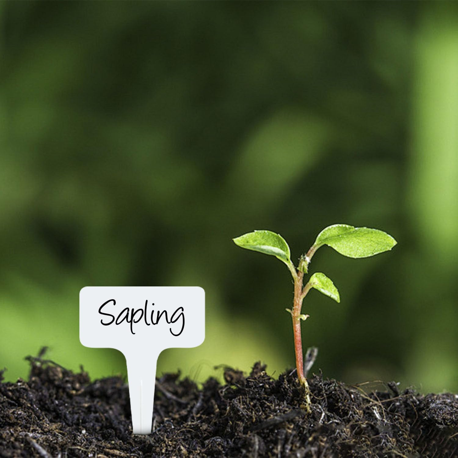 Funcyboo 150 PCS Plant Labels Plastic T-Type Tags, 2.4 X 4 Inch Outdoor Waterproof Plant Markers Reusable Garden Signs for Potted Garden Vegetable Seedling Labeling(White) image number 2