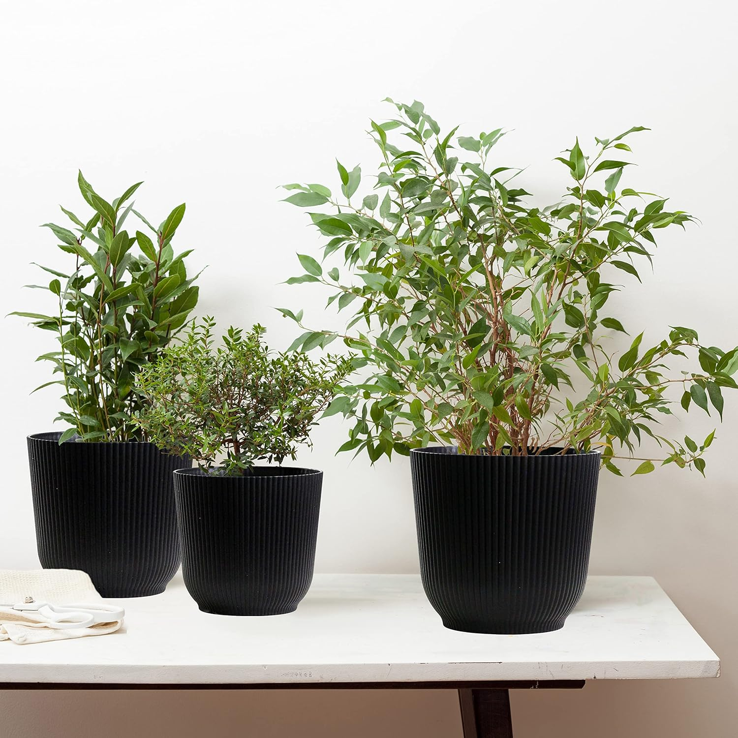 Olly & Rose Oxford Flower Pot Black Planters - Pack of 2 - Indoor Outdoor Flower Pot for Garden and Home image number 1