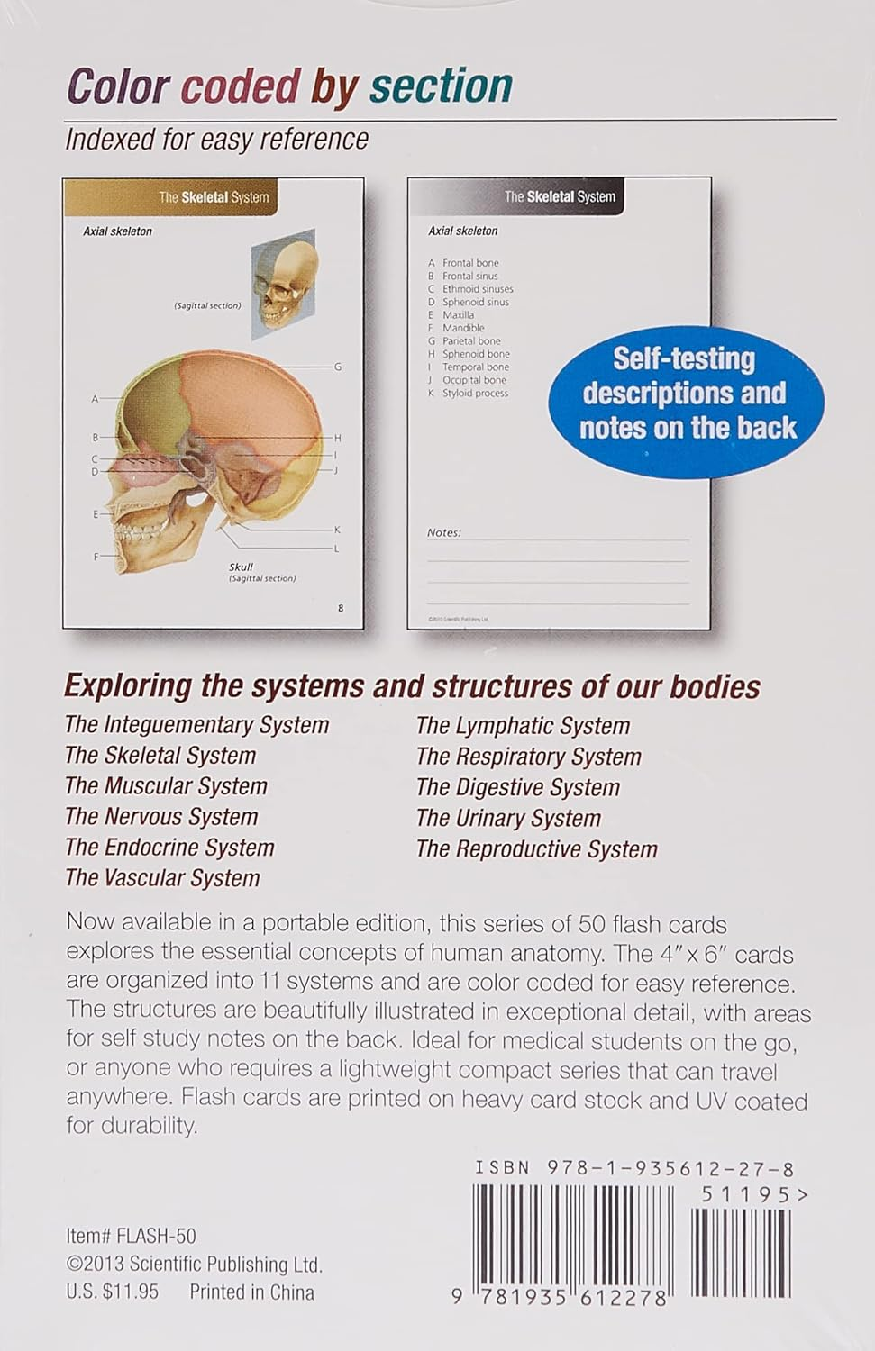 Anatomy Flash Cards