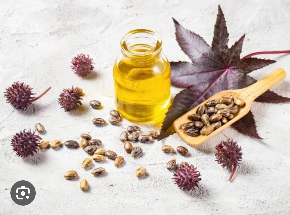 D-HUB AU: 100Ml Organic Castor Oil Pure Cold Pressed Hair Oil Lash Serum, Certified Pure Castor Oil for Hair Growth Serum, Castor Oil Pack Hexane Free for Eyebrows, Eyelash Serum, Scalp Oil, Beard Growth Oil , Body Massage Oil for Dry Skin | Packaging in Australia May Vary. image number 3