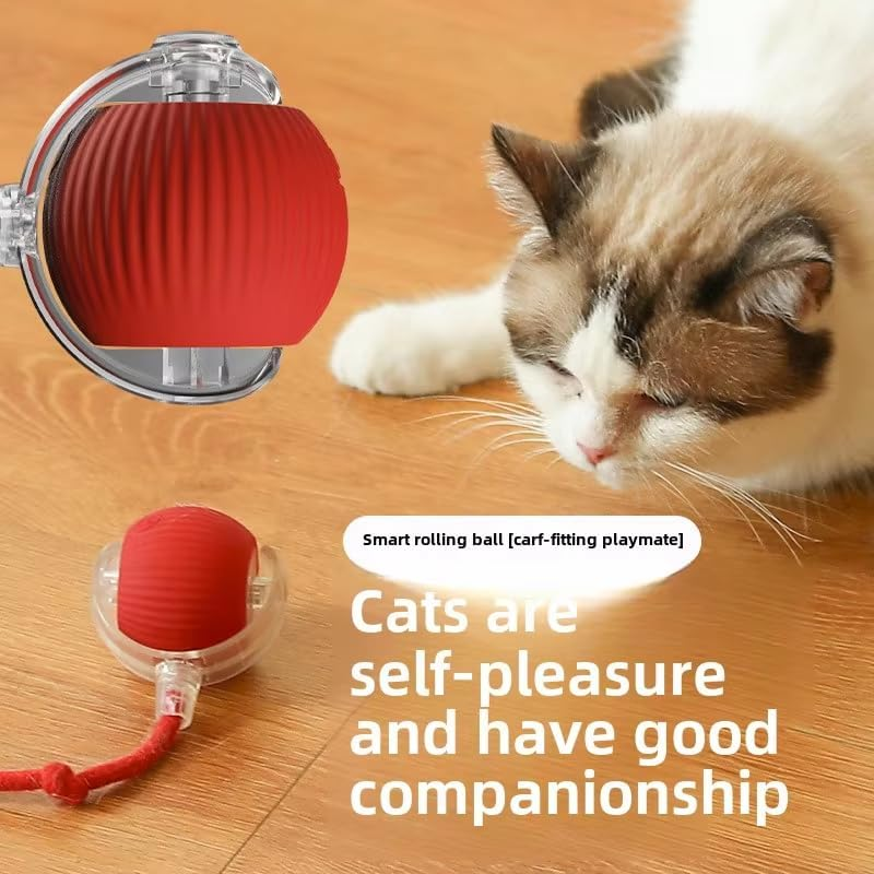 Smart Interactive Cat Toy Ball with Tail &ndash; USB Rechargeable Automatic Rolling Pet Toy, Dual-Speed Adjustable, Multiple Play Modes, Durable & Engaging for Indoor Cats image number 2
