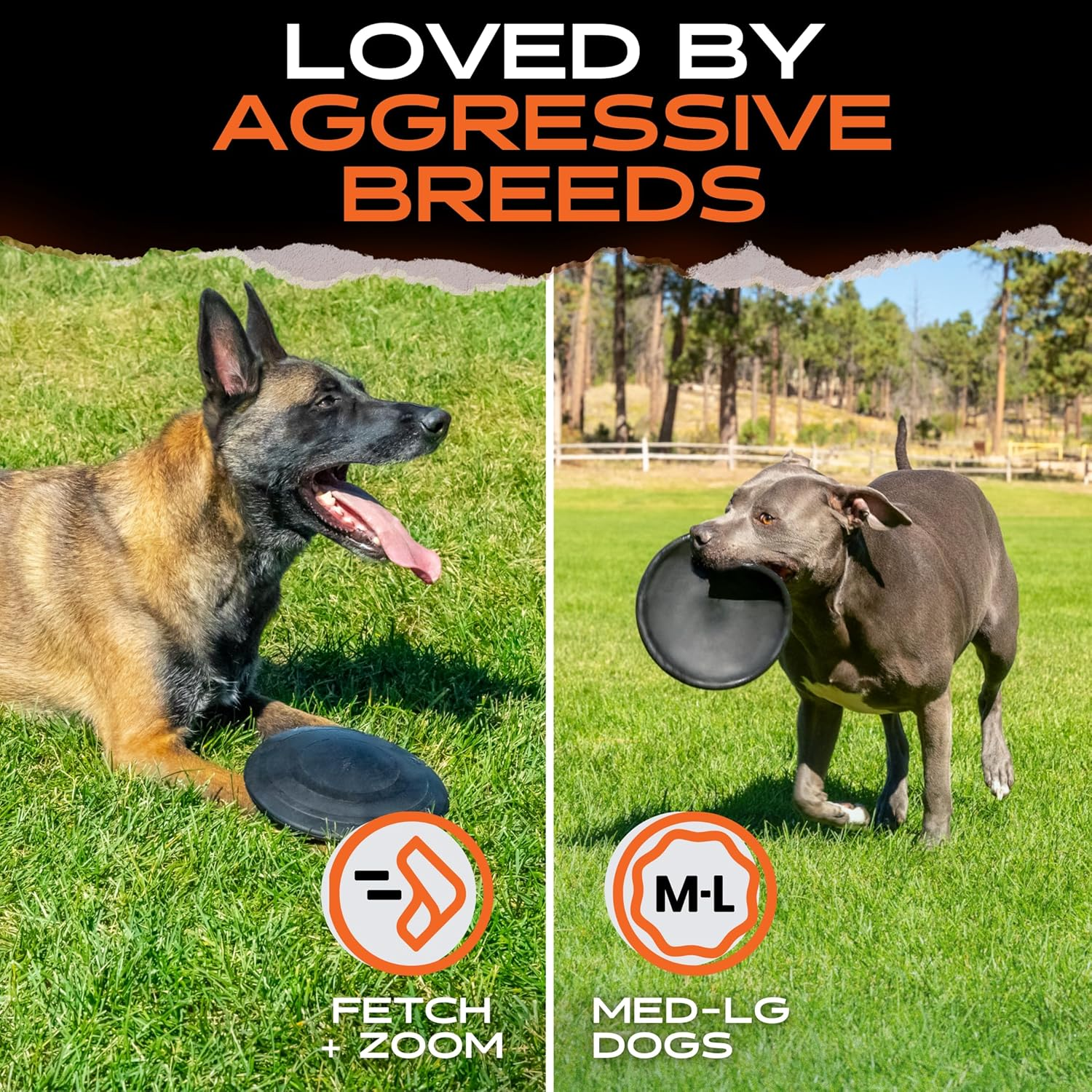 Indestructible Dog Frisbee - Lifetime Guarantee - Tested by Pitbulls, German Shepherds, Other Aggressive Chewers & Large Dogs - Tough Strong Durable Natural Rubber - Safe & Non-Toxic image number 1