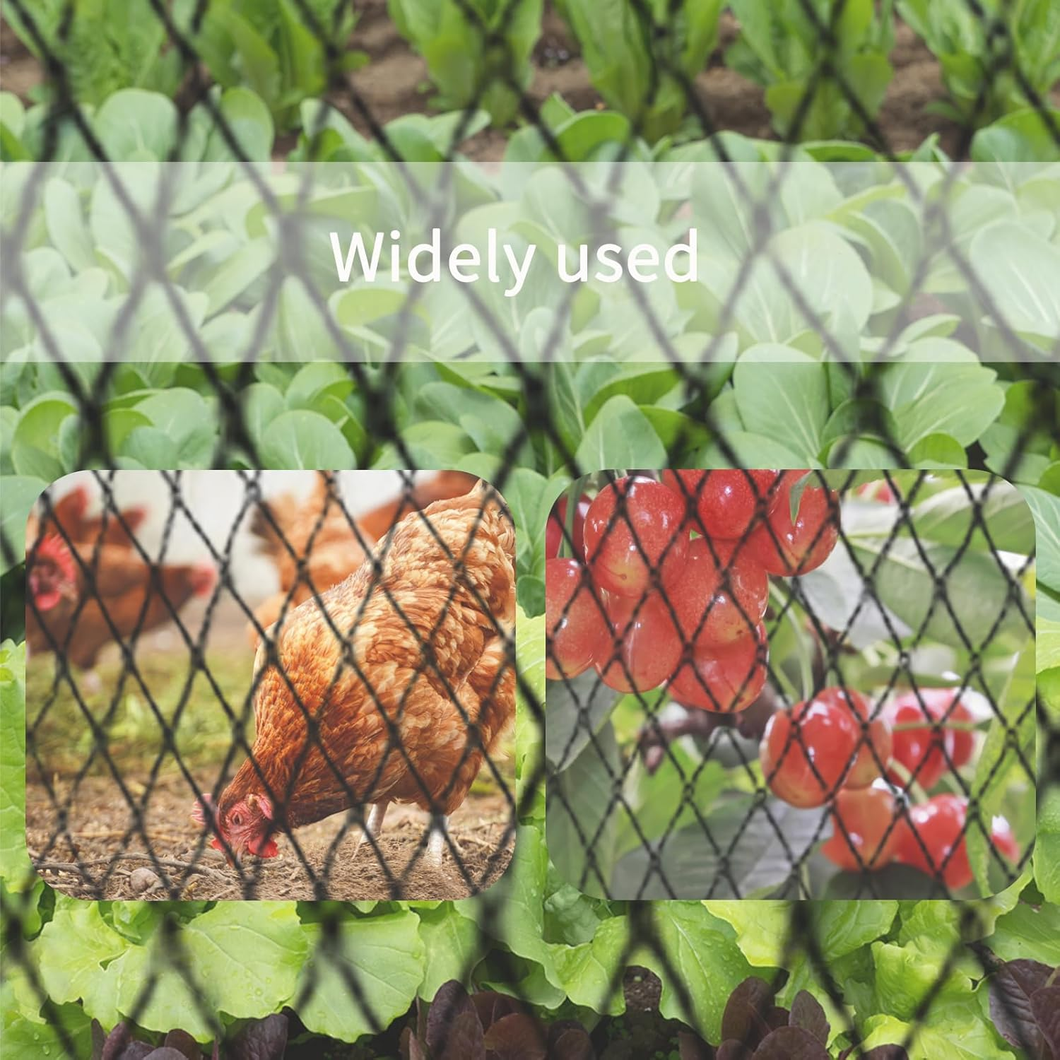 Tianzhi Black Pond Cover, 4.5X4.5M Heavy-Duty Woven Net, Protects Koi, Fruits & Vegetables, Includes 14 Plastic Anchors & 10 U-Shaped Nails image number 5