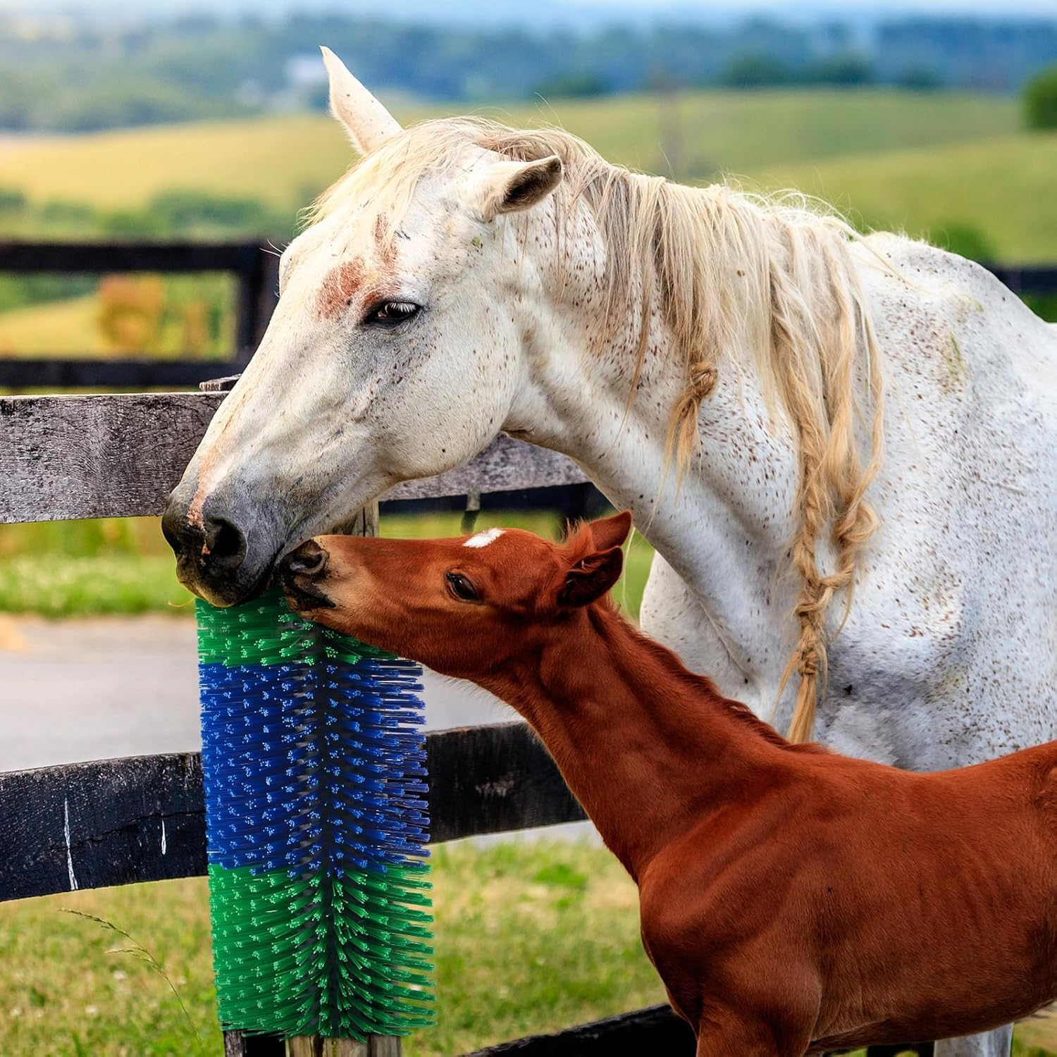 1PCS Livestock Scratch Brushes, Horse Scratcher Full Massage Brush Kit, Itching Relieving Tools for Animals, Livestock Scratching Brush for Horses, Cows, Sheep, Easy Installation image number 1