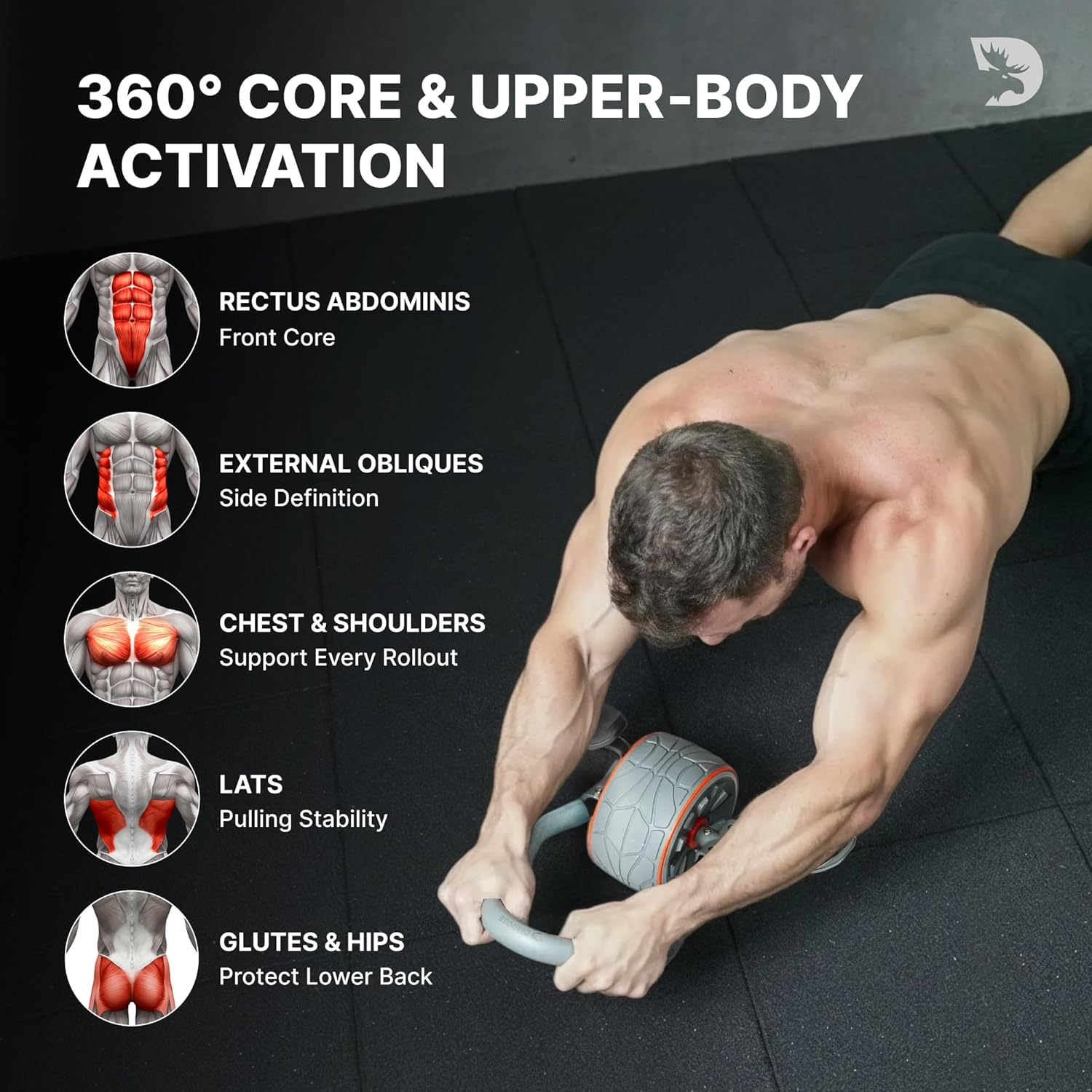 Dmoose Ab Roller Wheel, Ab Workout Equipment for Abdominal & Core Strength Training, Ab Wheel Roller for Core Workout, Home Gym, Ab Machine with Knee Pad for Home Workout & Home Gym Accessories (Grey)