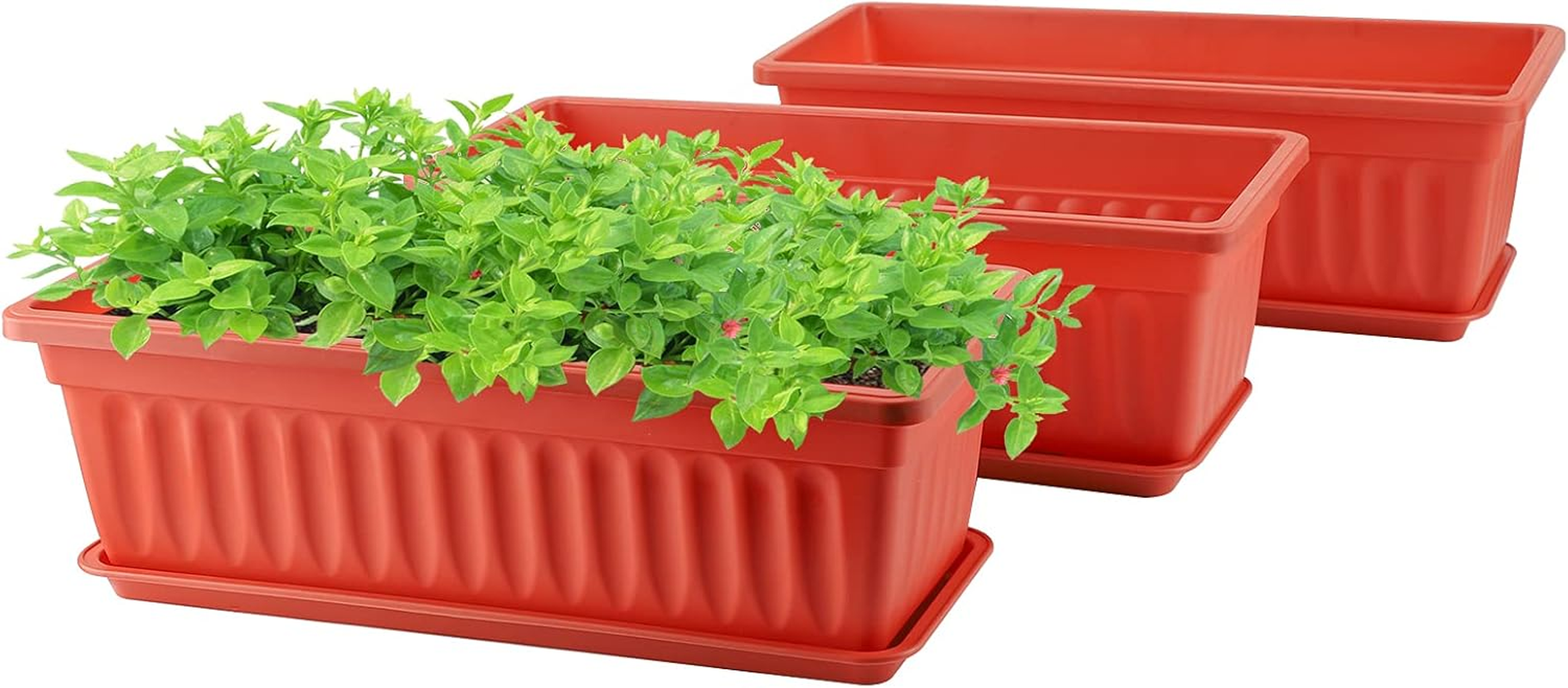 Black Rectangle Window Boxes, Greaner 3 Pack 12X3.8 Inch Herb Planters with Tray, Indoor Succulent Cactus Mint Plastic Pot for Windowsill, Garden Balcony, Office Outdoor Decoration