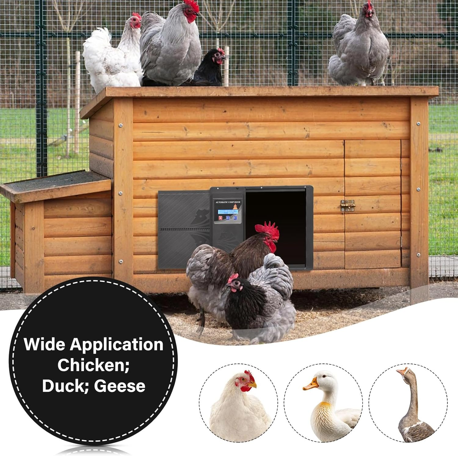 Automatic Chicken Coop Door with Programmable Timer, USB Charging, Anti-Pinch Waterproof & Anti-Trap Protection, LCD Display Door Opener, Chicken Doorsfor Fully Automatic Night Day Operation (Black) image number 3