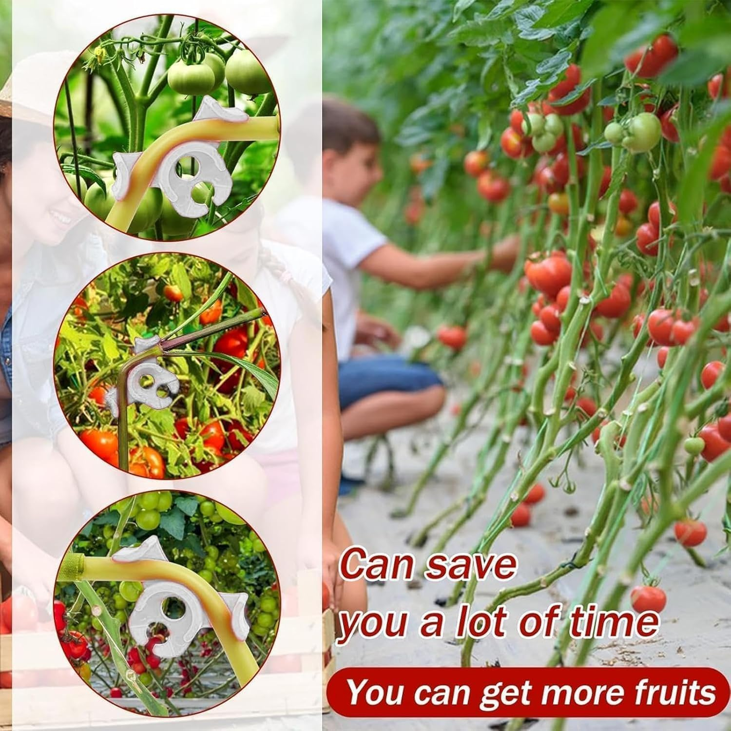 60Pcs Plant Training Clips,Wady Low-Stress Plant Benders for Gentle Training, Soft Bendable Clips for Healthy Growth, Gardening Training Tools for Indoor/Outdoor Plants (Mixed) - Mixed image number 5