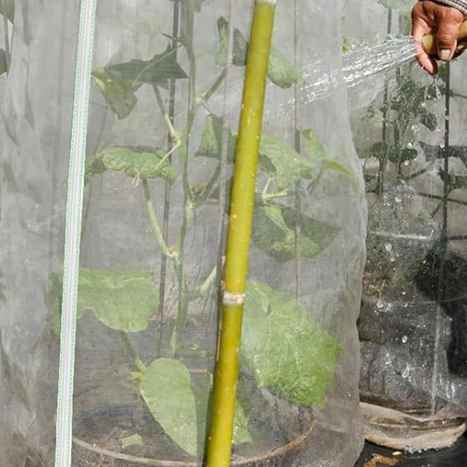 Fruit Tree Protection Netting | Protective Cover with Drawstring | UV Resistant and Weather Resistant with Zipper and Cord for Orchards, Outdoors, Garden, Greenhouse image number 5