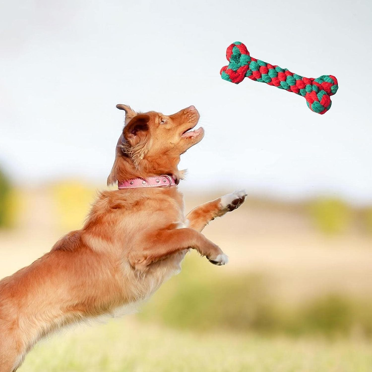 Christmas Dog Cotton Rope | Dog Teething Rope - Dog Accessories for Gum Massage and Oral Healthy for All Breeds, to Dogs image number 4