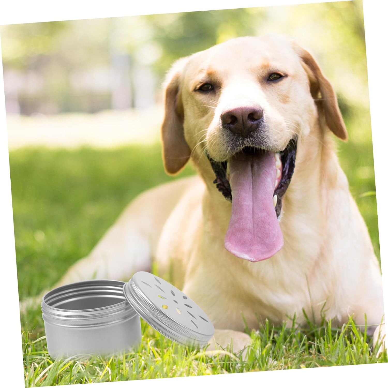 WOONEKY Pack of 10 Dog Training Containers for Dog Food, Metal Container with Lid, Puppy Dog Odour Sniffing Box, Odour Training Case, Dog Training Box, Aromatherapy, Puppy Work image number 2