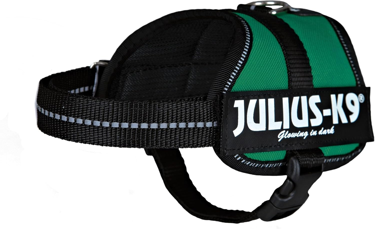 Julius-K9, 162 W, ​​K9-Power Dishes, Aquamarine, 0, Green-Blue image number 6