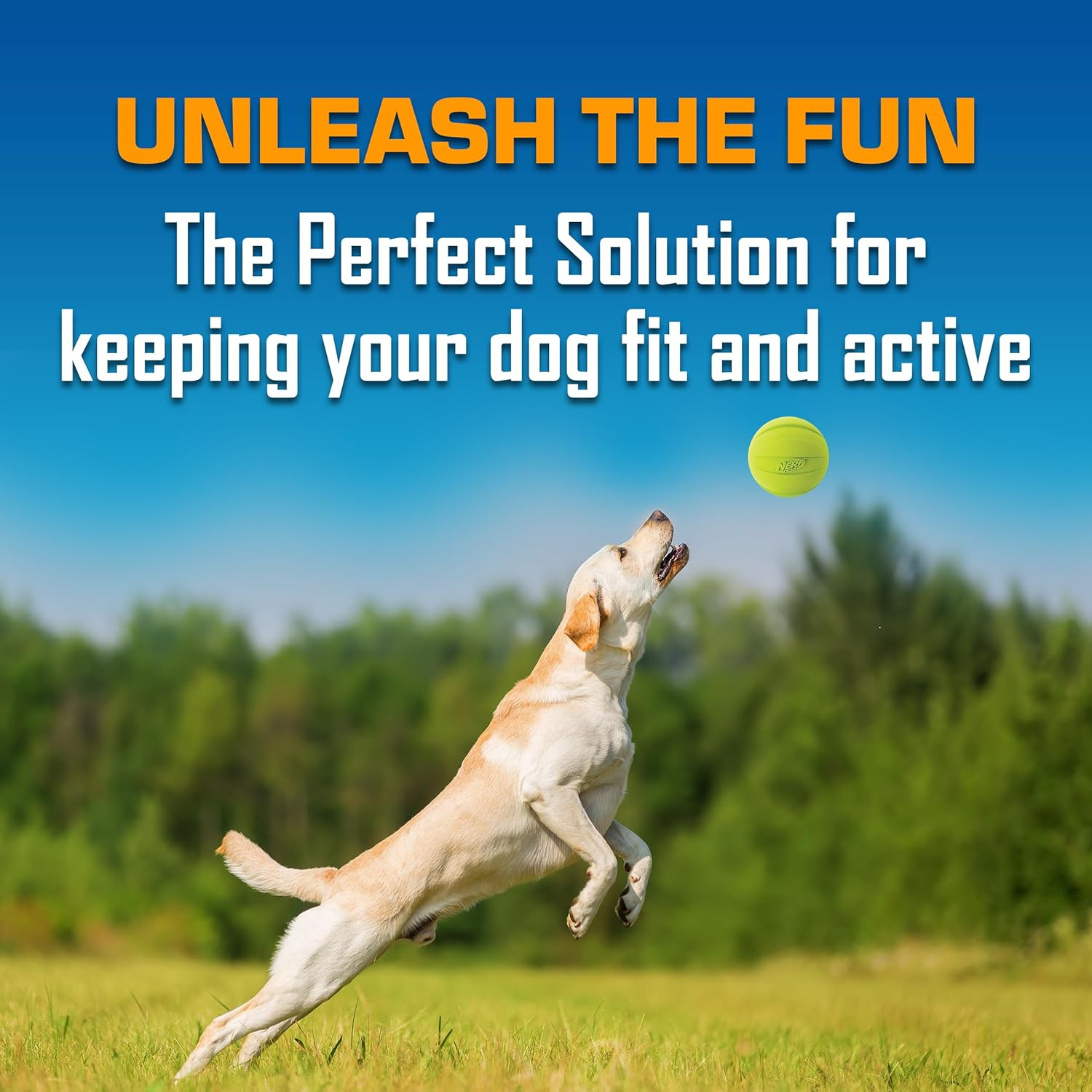 Nerf Dog Classic Ball Dog Toy with Interactive Squeaker, Lightweight, Durable and Water Resistant, 3.8 Inches, for Medium/Large Breeds, Two Pack, Green and Red image number 3