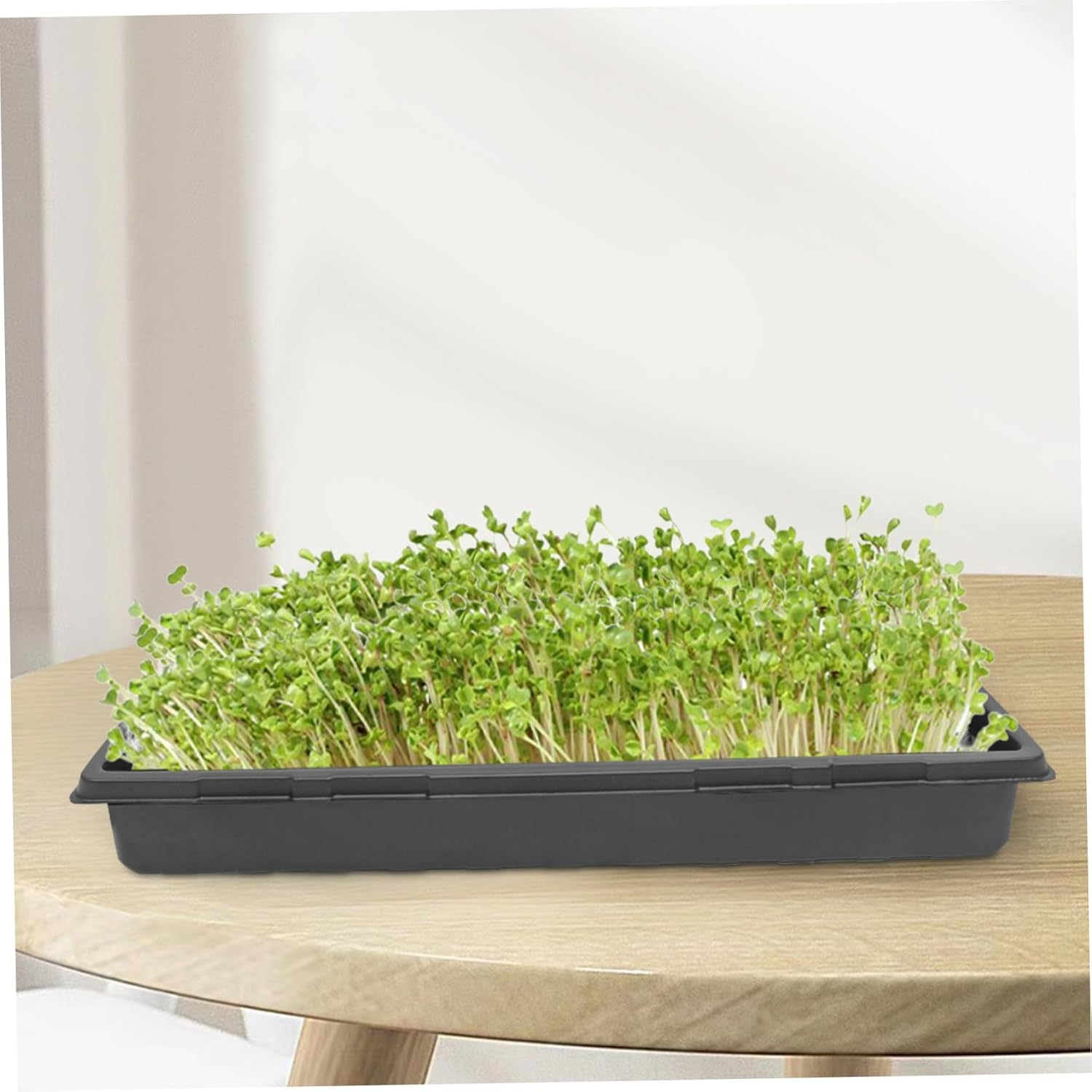 FONDOTIN 5Pcs Thickened Seedling Trays Plant Starter Trays Germination for Indoor Outdoor Gardening image number 4