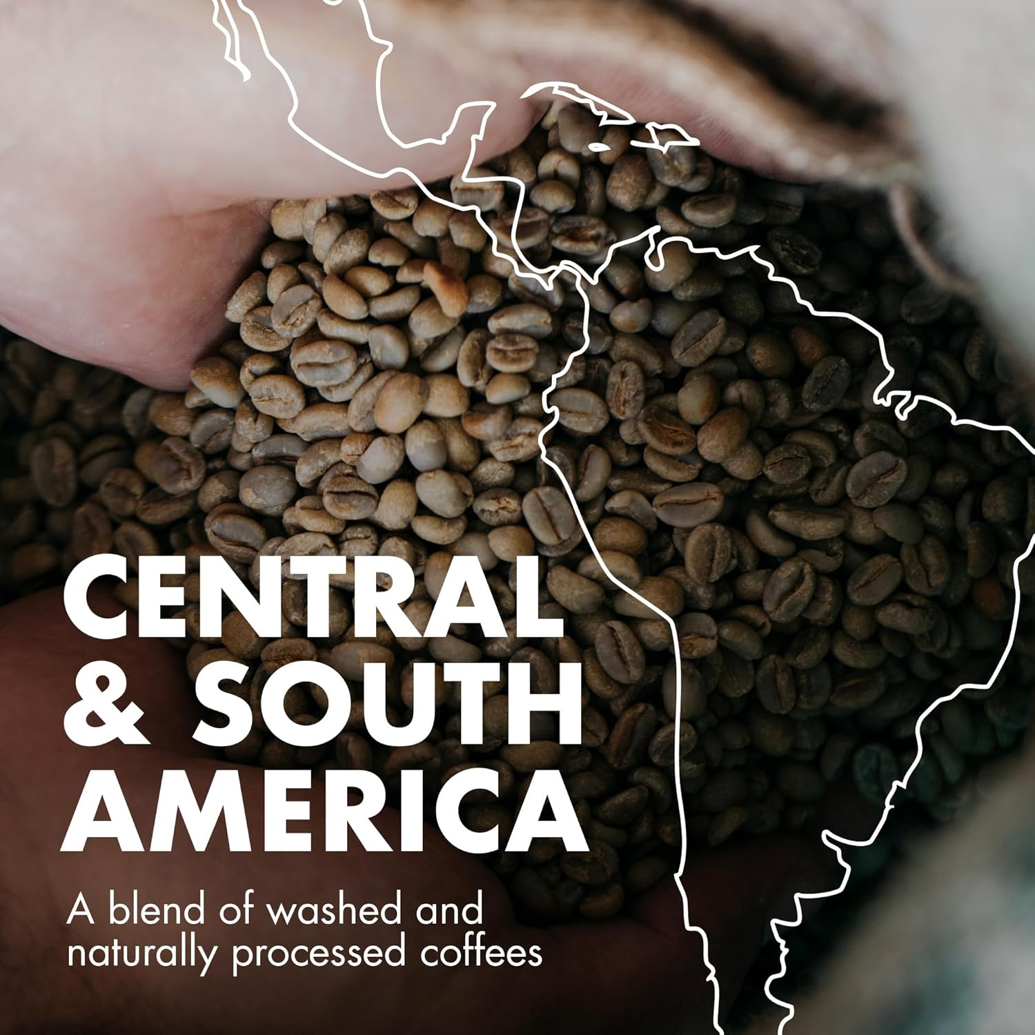 Will & Co. Natural Coffee Beans - 1Kg image number 3