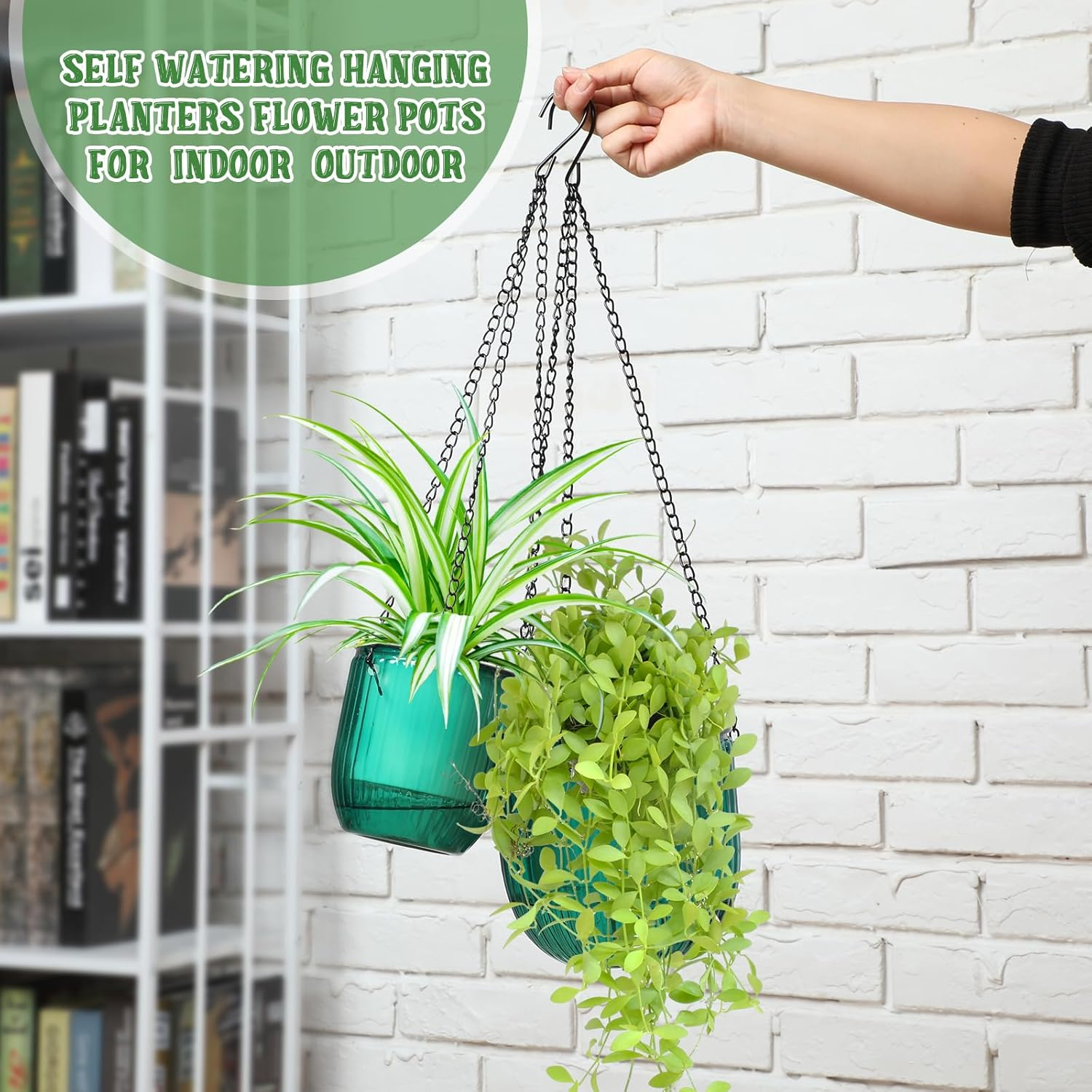 Maxcheck 4 Pcs Self Watering Hanging Planters Indoor Gift 6.5'' 4.5'' Hanging Flower Pots Baskets Outdoor Self Watering Plant with 3Hooks Drainage Holes for Home(Emerald,Clear) image number 2