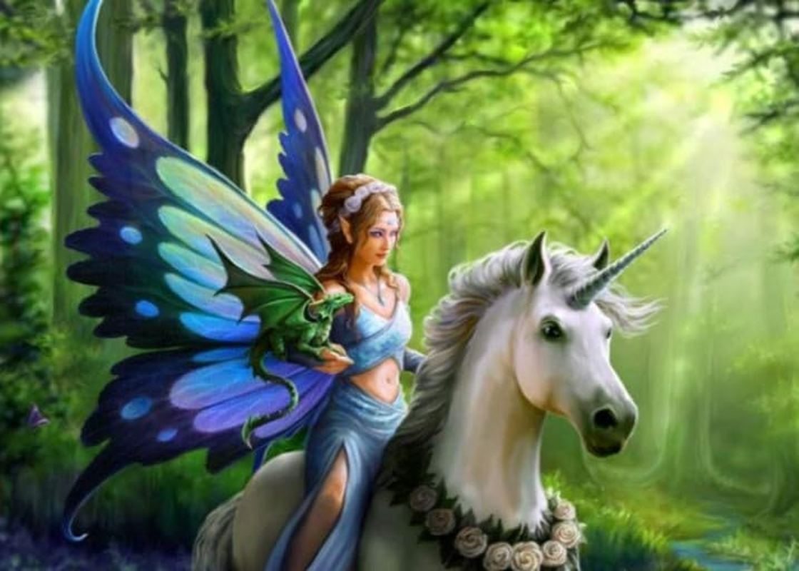 Anne Stokes Quilt Cover Set - Realm of Enchantment (King (U.S. Standard))