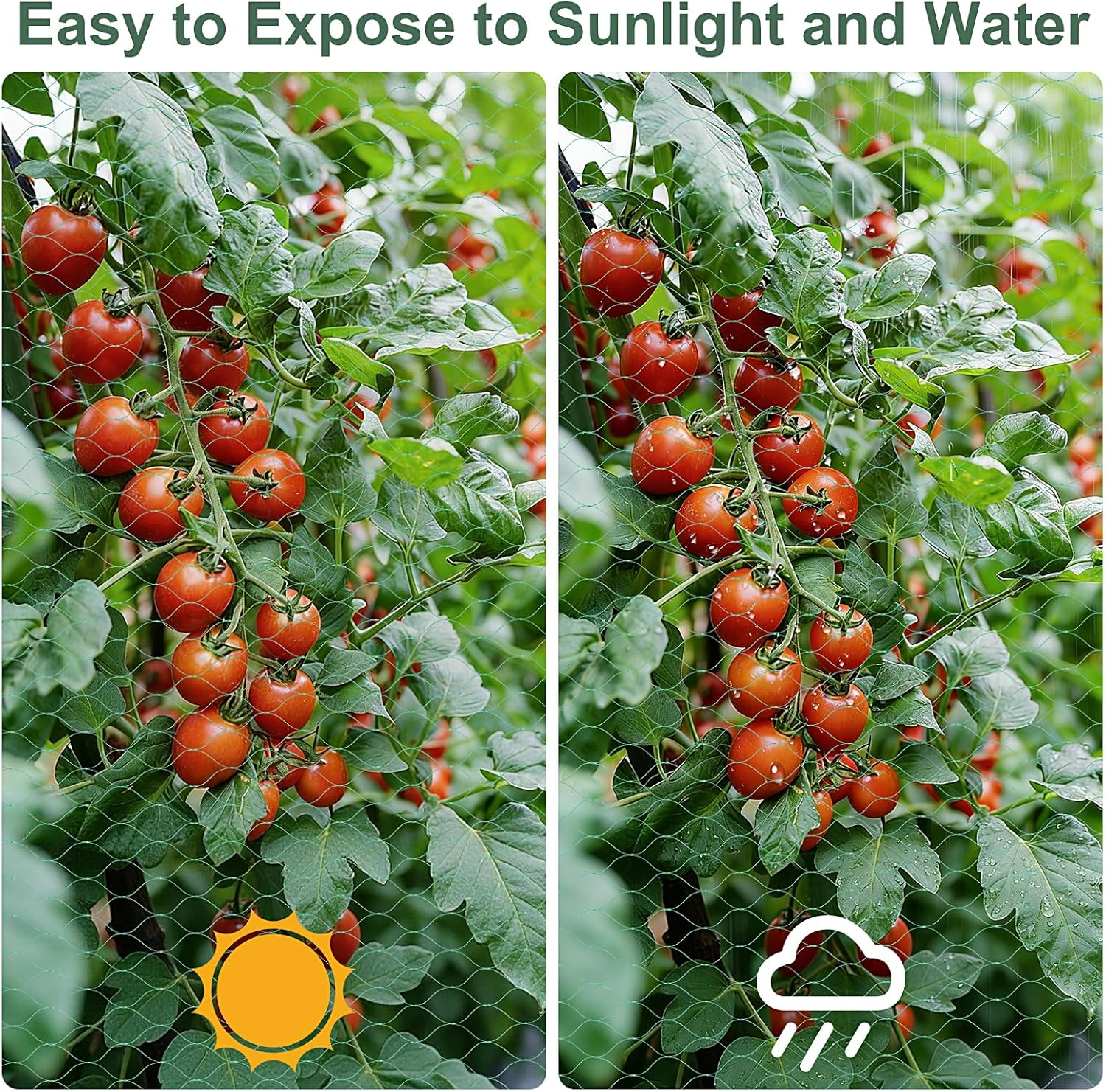 4M X 12M Bird Netting for Garden, Plant Netting for Protecting Plants, Flowers, Vegetables and Fruits,Green image number 2