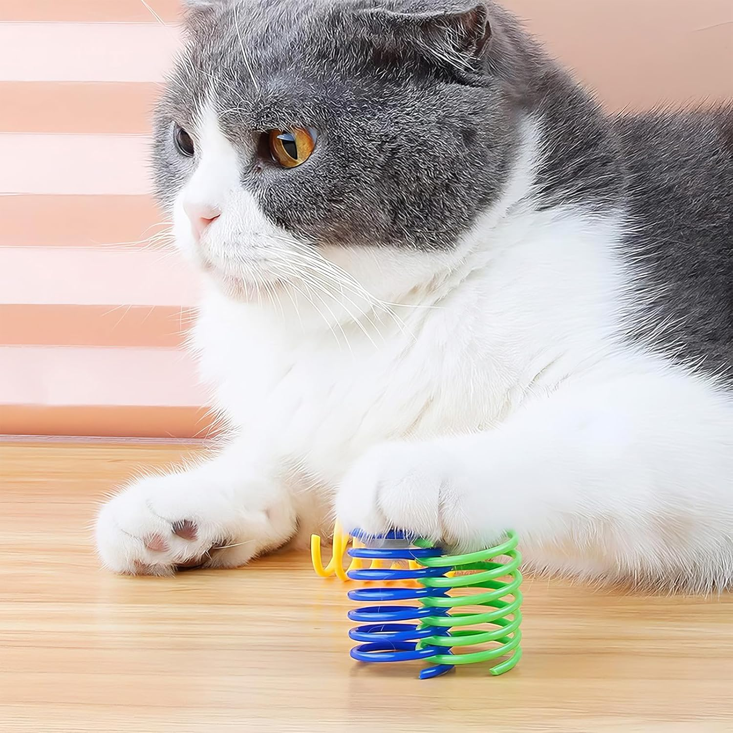 RTRTGS Pack of 16 Cat Spring Toys, Plastic Spiral Springs, Spiral Cat Toy, Toy Spiral Springs, Novelty Pet Toy, Colourful Spiral Springs, Spring Spiral for Cats image number 6
