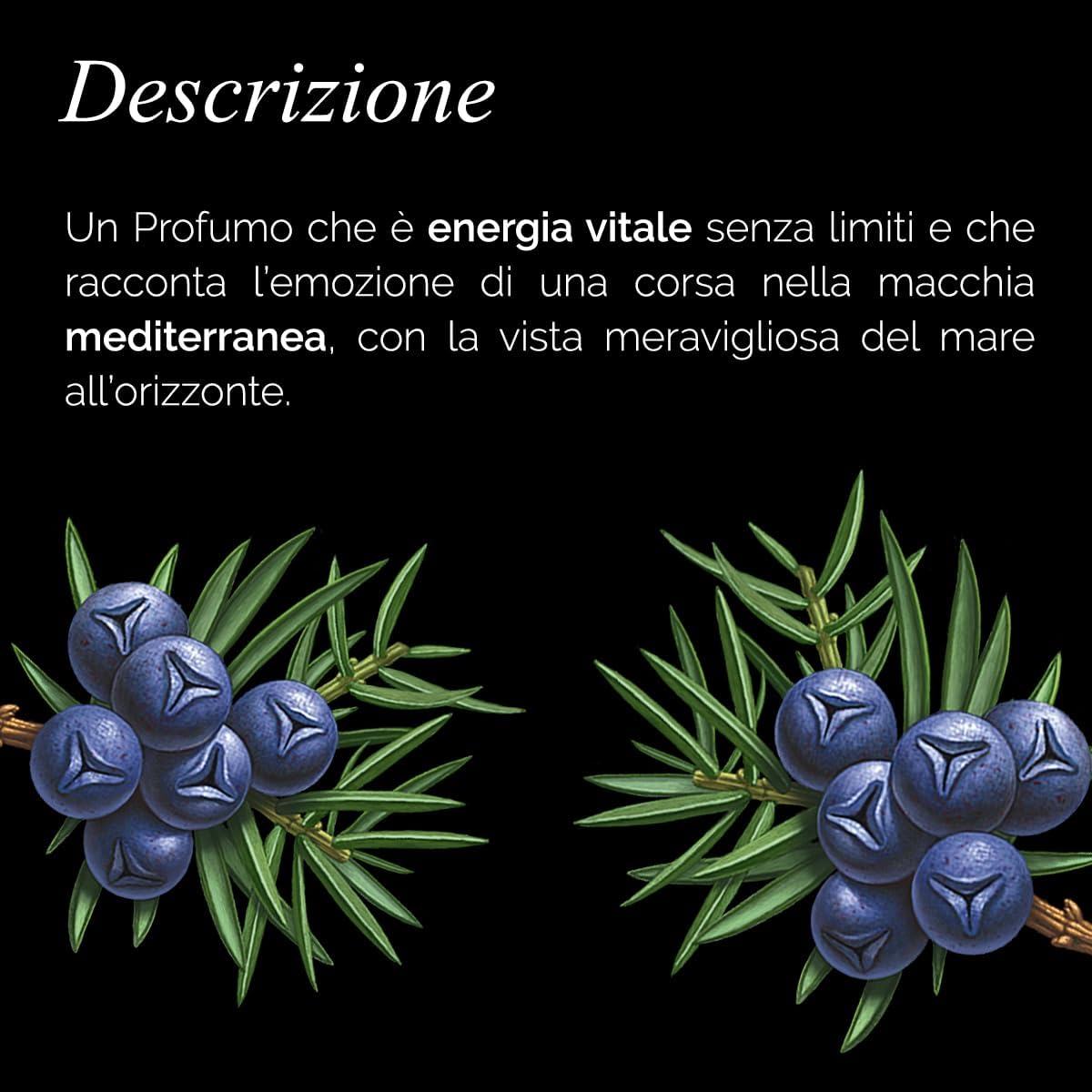 L'Erbolario Ginepro Nero Eau De Parfum 50 Ml image number 4