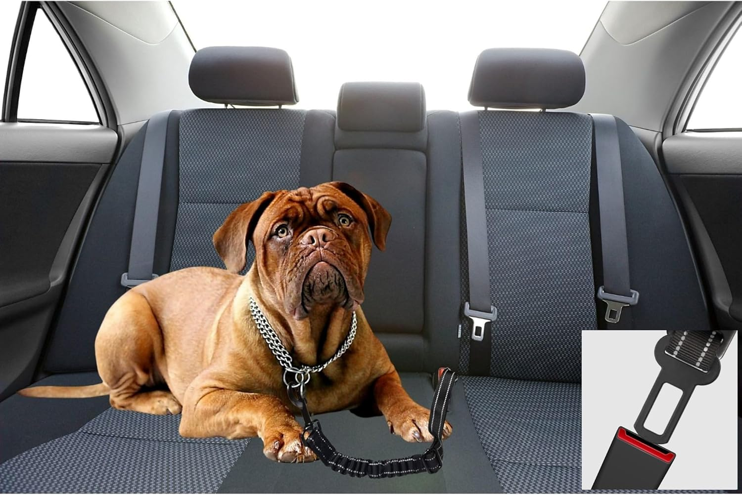 EASERIA Dog Seat Belt for Car, Premium Car Dog Belt, Elastic Dog Seat Belt with Shock Absorption, Adjustable Length 50-72-80 Cm, for Small and Medium Dogs, Blue image number 4