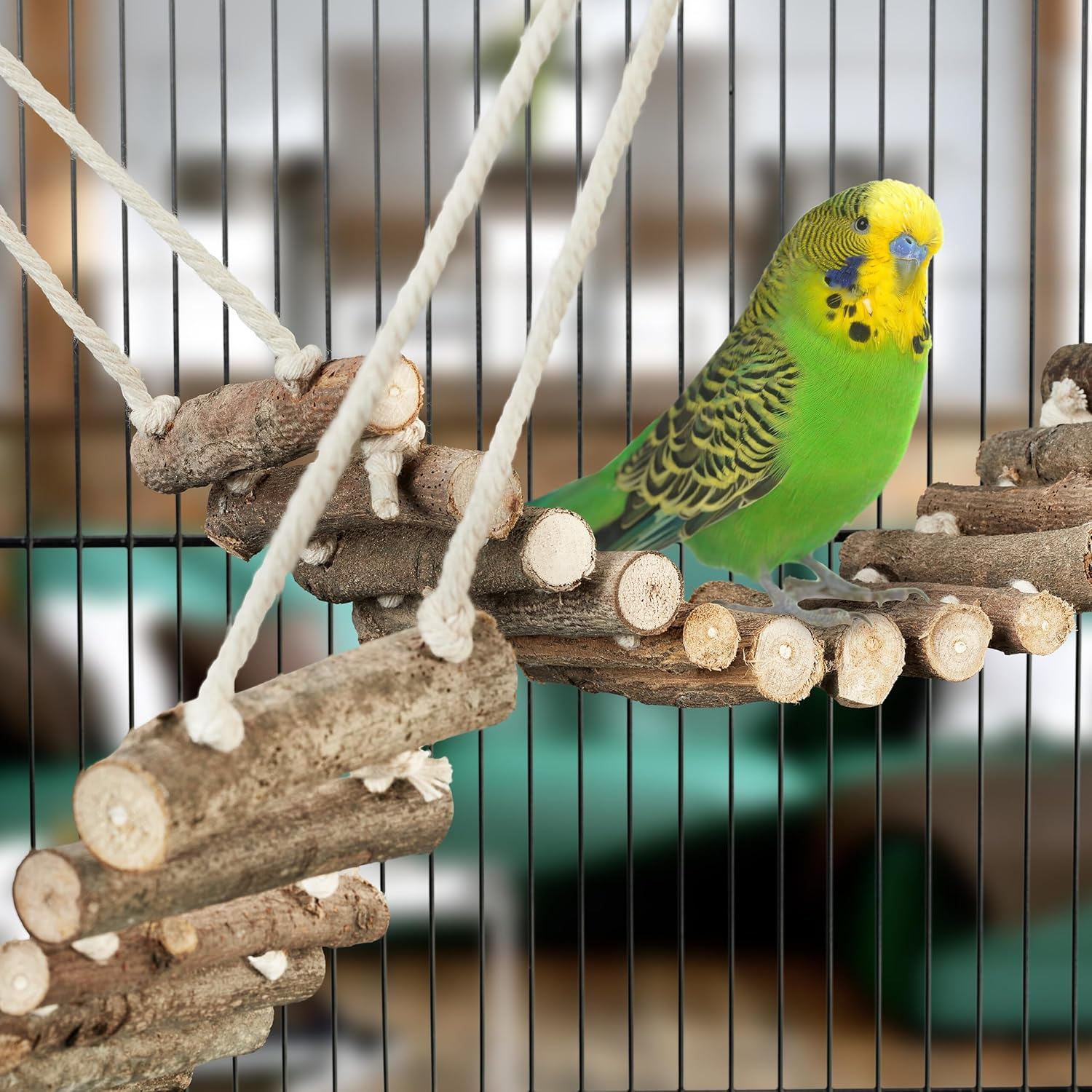 Relaxdays Bird Toy Ladder, Set of 2, Bird Cage Accessories for Budgies, Canary, Wood, Bird Ladder, Natural image number 5