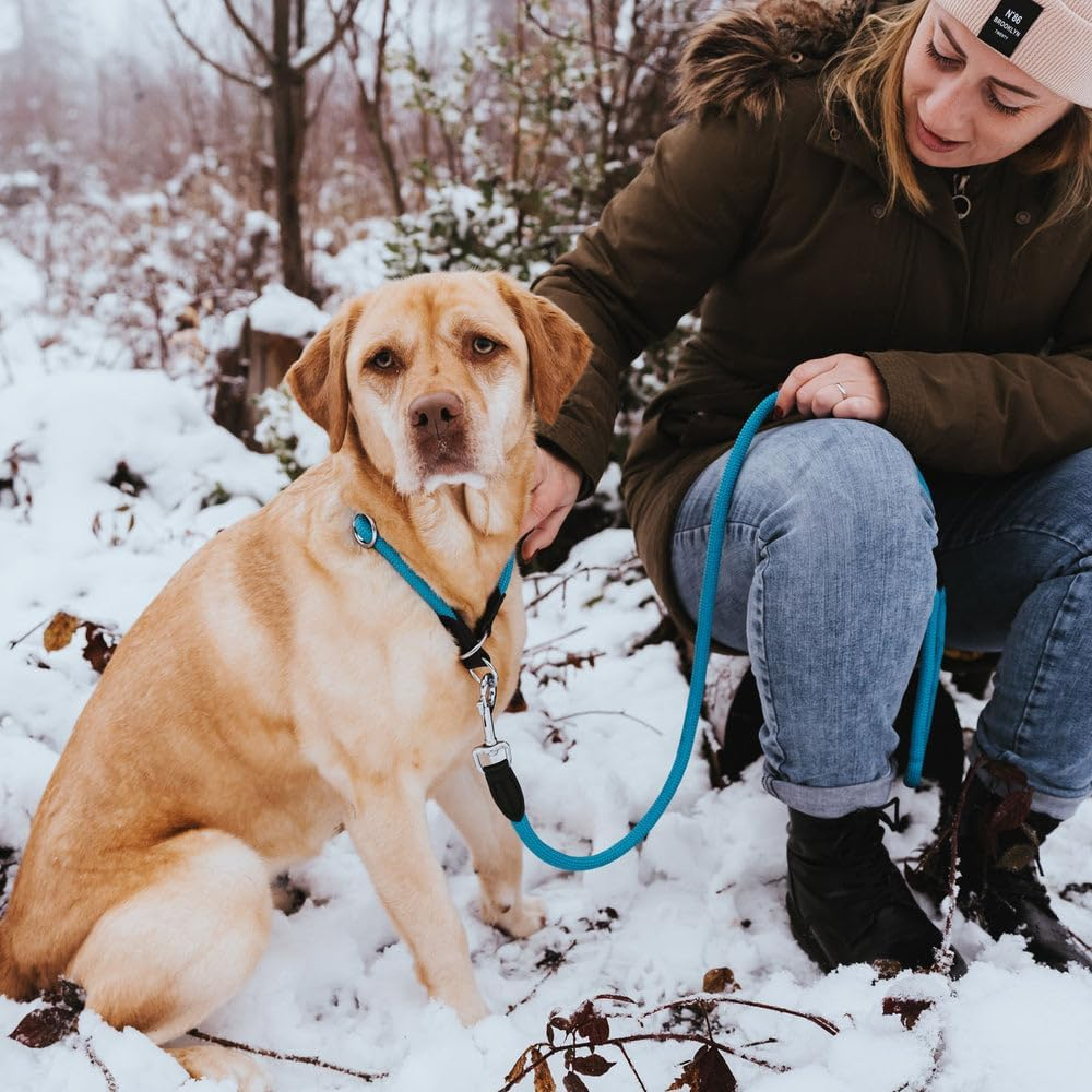 HUNTER Freestyle Dressage Collar, Colour: Dark Green, Durable Rope with Polyamide Core, Soft & Robust, Weatherproof & Easy to Clean, Ideal for Training and Everyday Use, Size: M image number 7