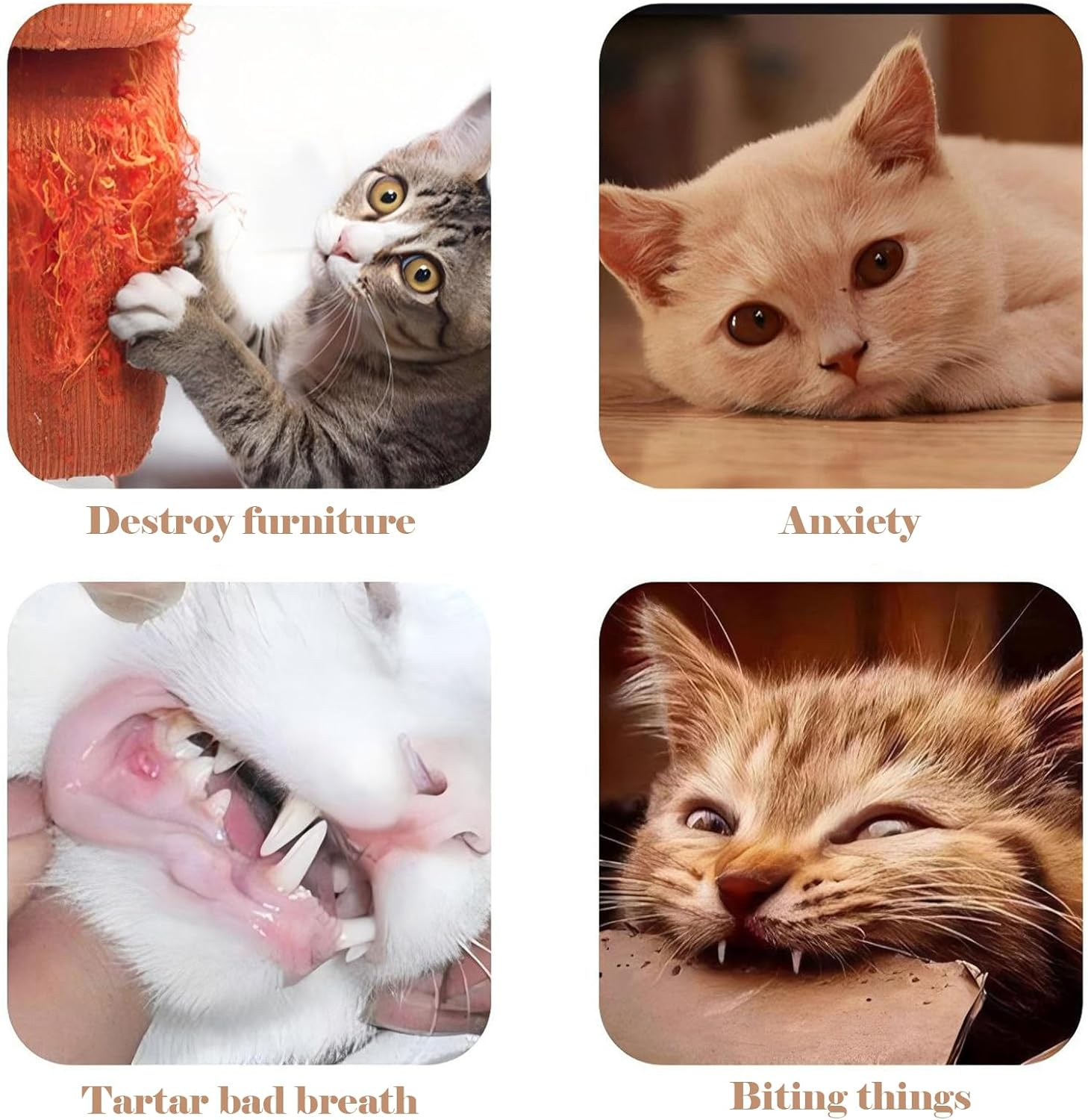 Larfraecy 3-Pack Cat Catnip Toys Plush Cat Chew Teeth Cleaning Toys with Catnip Interactive Toy for Cat Squeaky Ocean Creatures Toys for Cats, Includes Stingray, Clownfish, and Shark image number 5