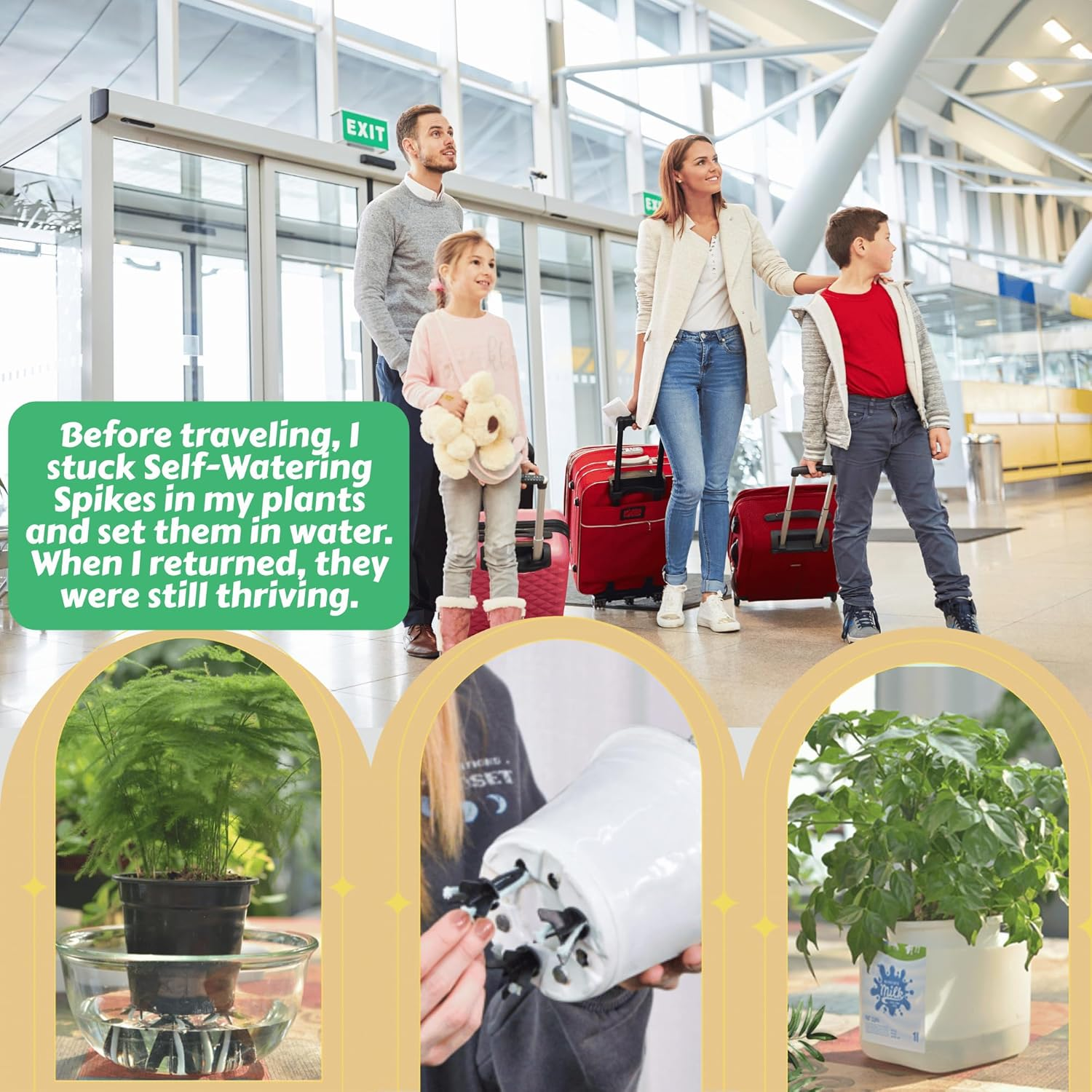 Greenship 4-Pack Patented Self-Watering Spikes &ndash; DIY Plant Watering System for Indoor Plants, Fits Grower Pots, Reuse Containers, Automatic Self-Watering Stakes (Medium) image number 1