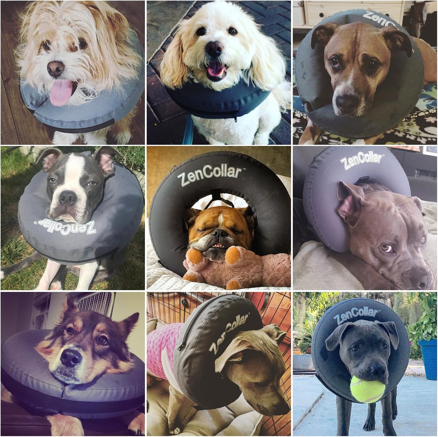 Zenpet PRO Collar, Grey, Small (15-25Cm) image number 3