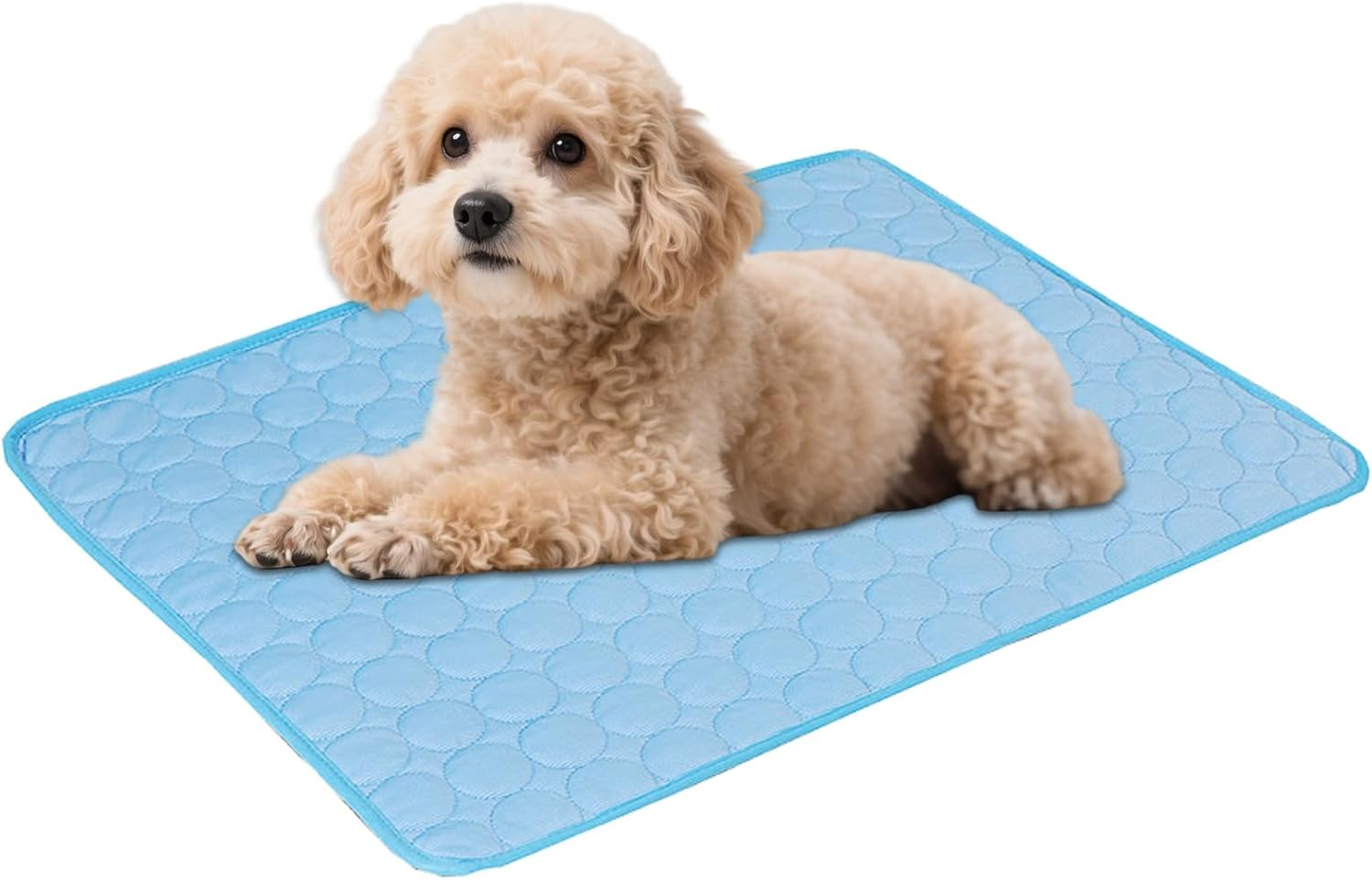 Proxima Direct Pet Cooling Mat, Summer Bed Mats for Middle Small Dogs and Cats, 70&times;55 Portable Foldable Washable Sleeping Pad Cover for Sofa Kennels Crates Home Car Seat Travel Camping Indoor Outdoor image number 2