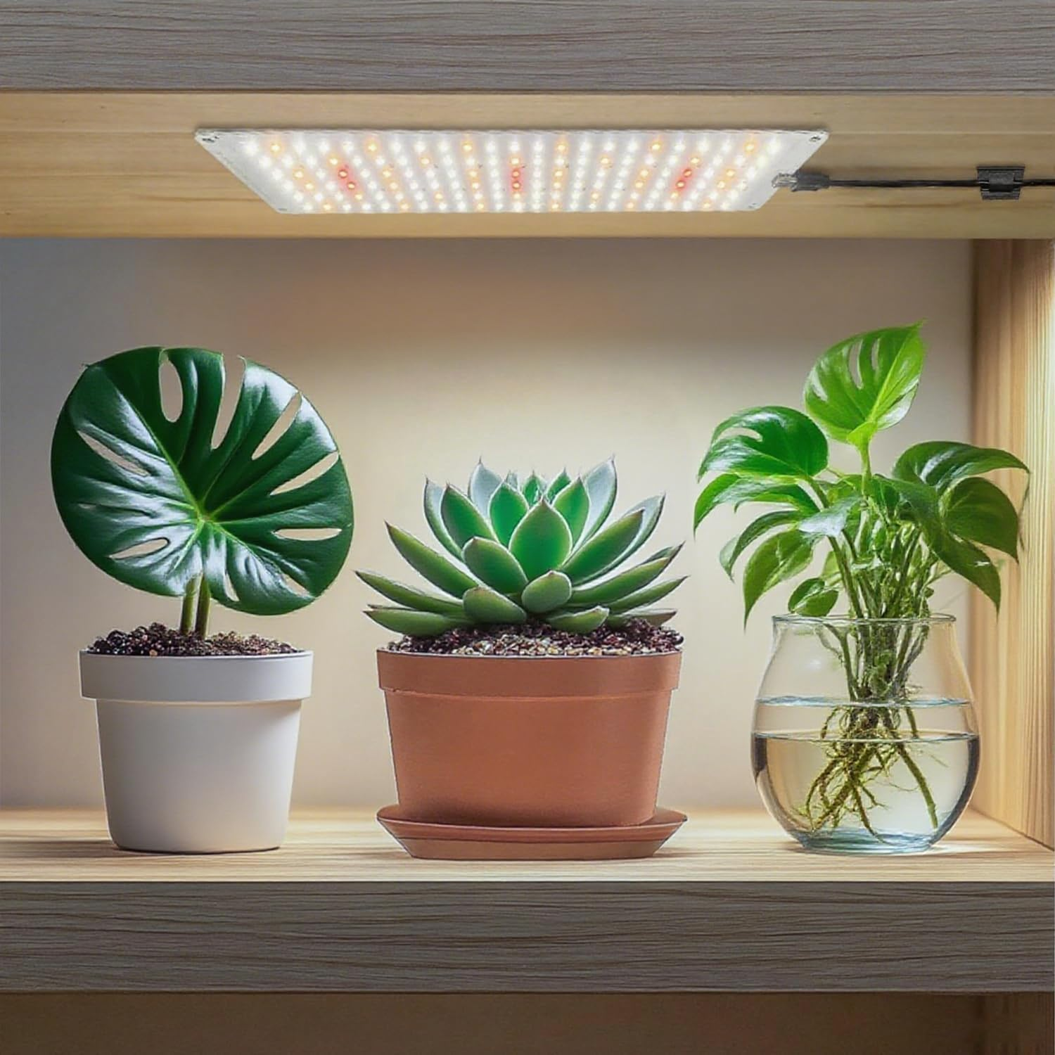 Plant Lamp, 40W Slim Indoor Grow Light with Full Spectrum Leds - Programmable Timer & 10-Level Brightness for Healthy Plants (4-Pack) image number 4