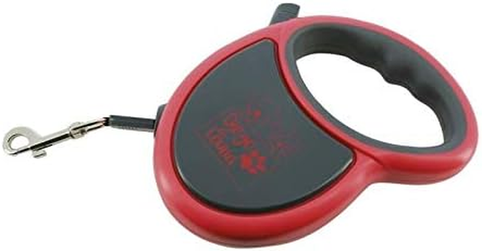 EKKIA French Dog Nylon Telescopic Automatic Leash 16.4 Ft (5 M) Diego & LOUANA Leash for Small, Medium, and Large Dogs