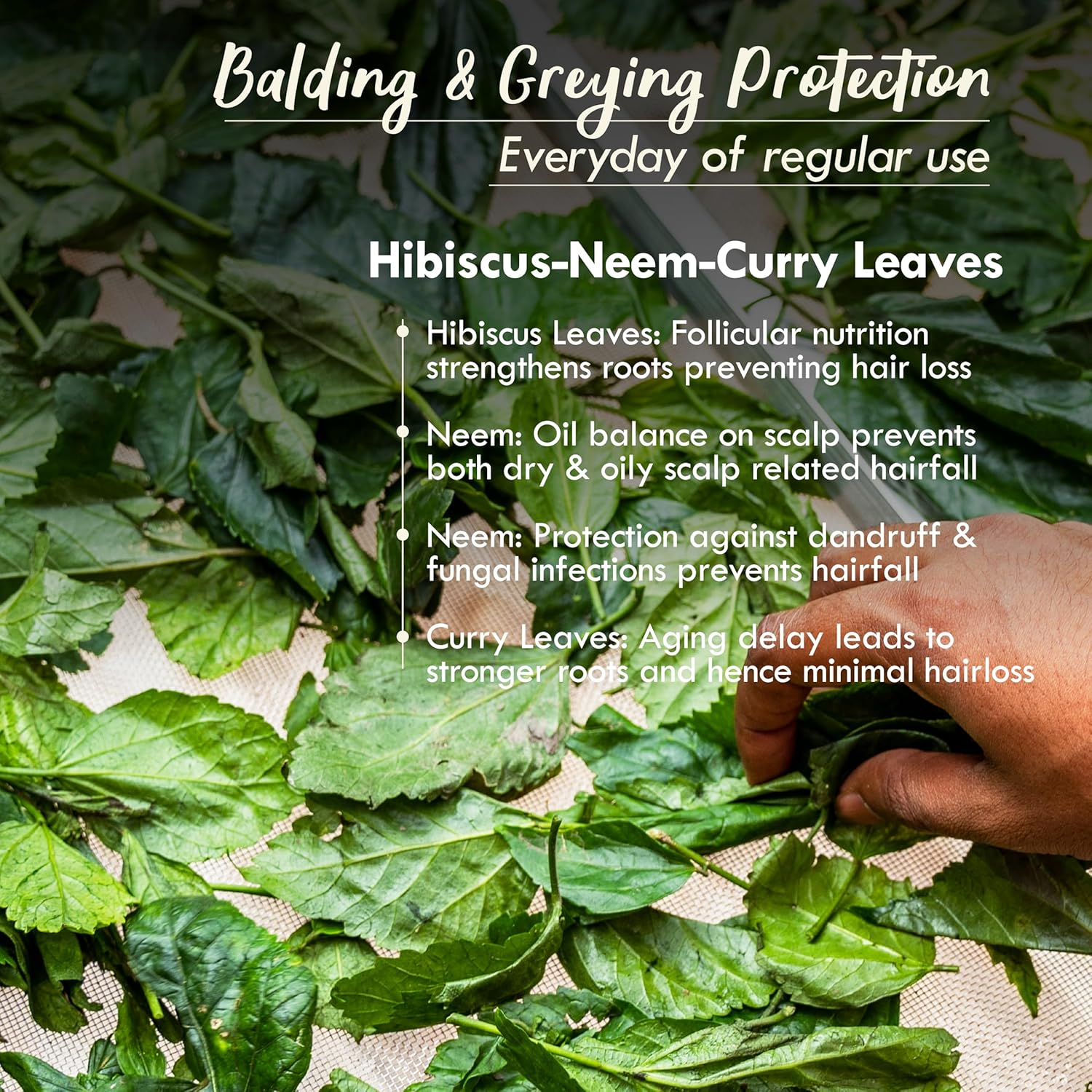 Nat Habit Men'S 8 Herbs Hair Revital Nutrimask - Hair Mask for Grey Hairs, Conditioning, Smoothening, Strengthen & Shine, Suitable for All Hair & Scalp Types (Pack of 2 X 40Gm) image number 5