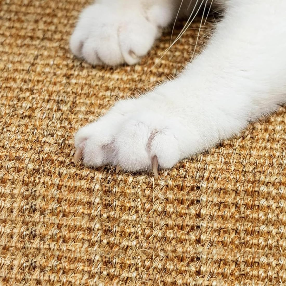 Aililong Cat Scratching Mat, Natural Sisal Mat, 40 X 60 Cm, Non-Slip and Wear-Resistant Corner Scratching Mat, Cat Scratching Floor, Sisal Rug, Original Colour image number 3