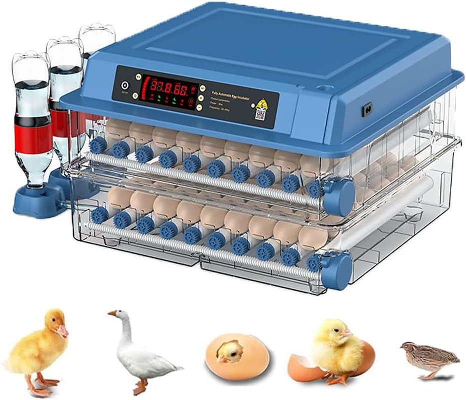 CHAOFLIGHT Eggs Incubator,64 Poultry Egg Hatchery Brooder Automatic Egg Turner with Temperature Control & Digital Touch Screen for Hatching Parrot,Birds,Chickens,Ducks,Quails (64 Eggs)