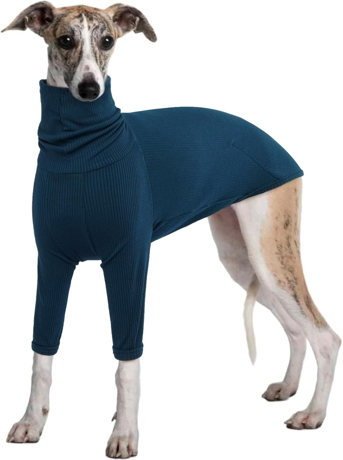 Iecoii Greyhound Sweater, Cozy Italian Greyhound Jumpsuit, Pullover Dog Sweater for Small Dogs, Turtleneck Whippet Onesie Clothes for Spring Fall Outfits, Extra Soft Whippet T Shirts with Sleeves, XS
